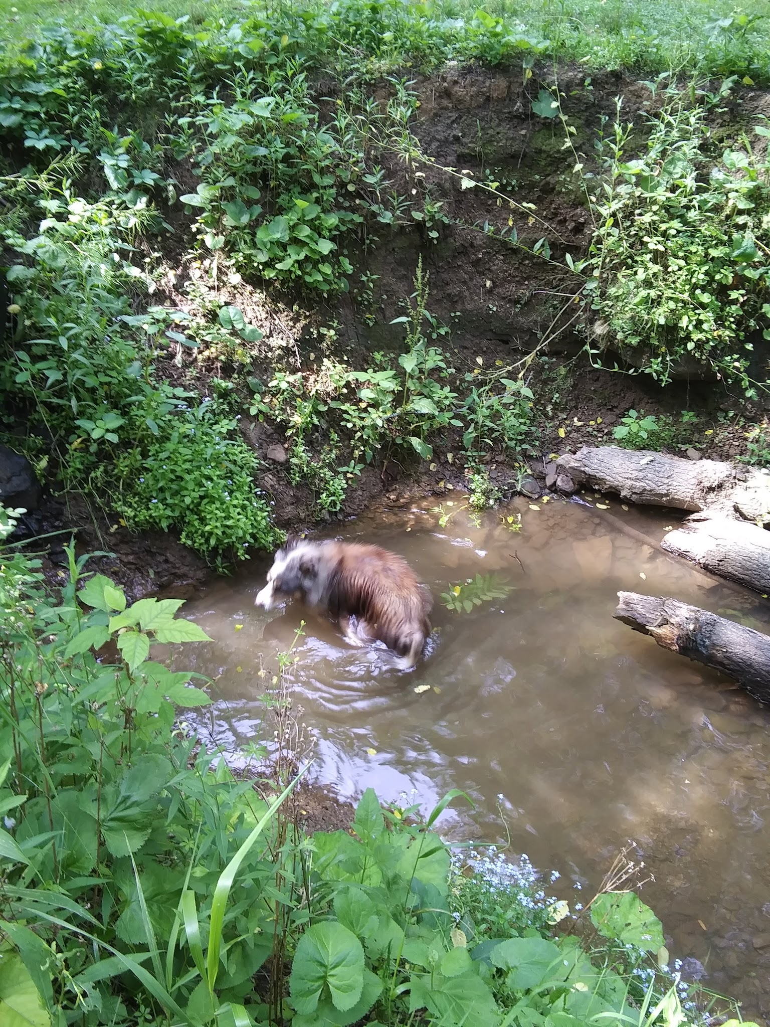 Spring Valley Park - Saxonburg, PA
