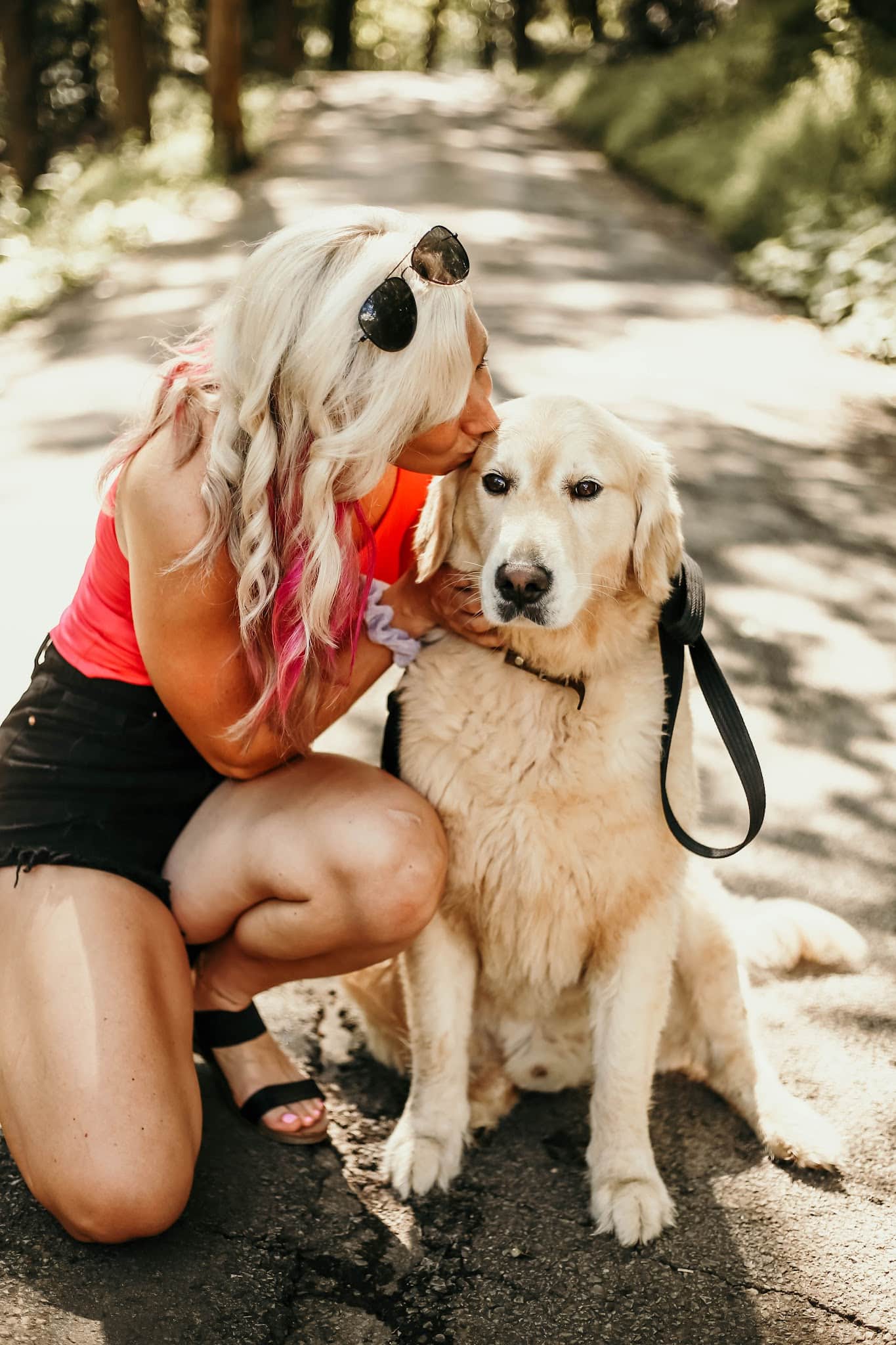 Say It Once Dog Training - Nashville - ,