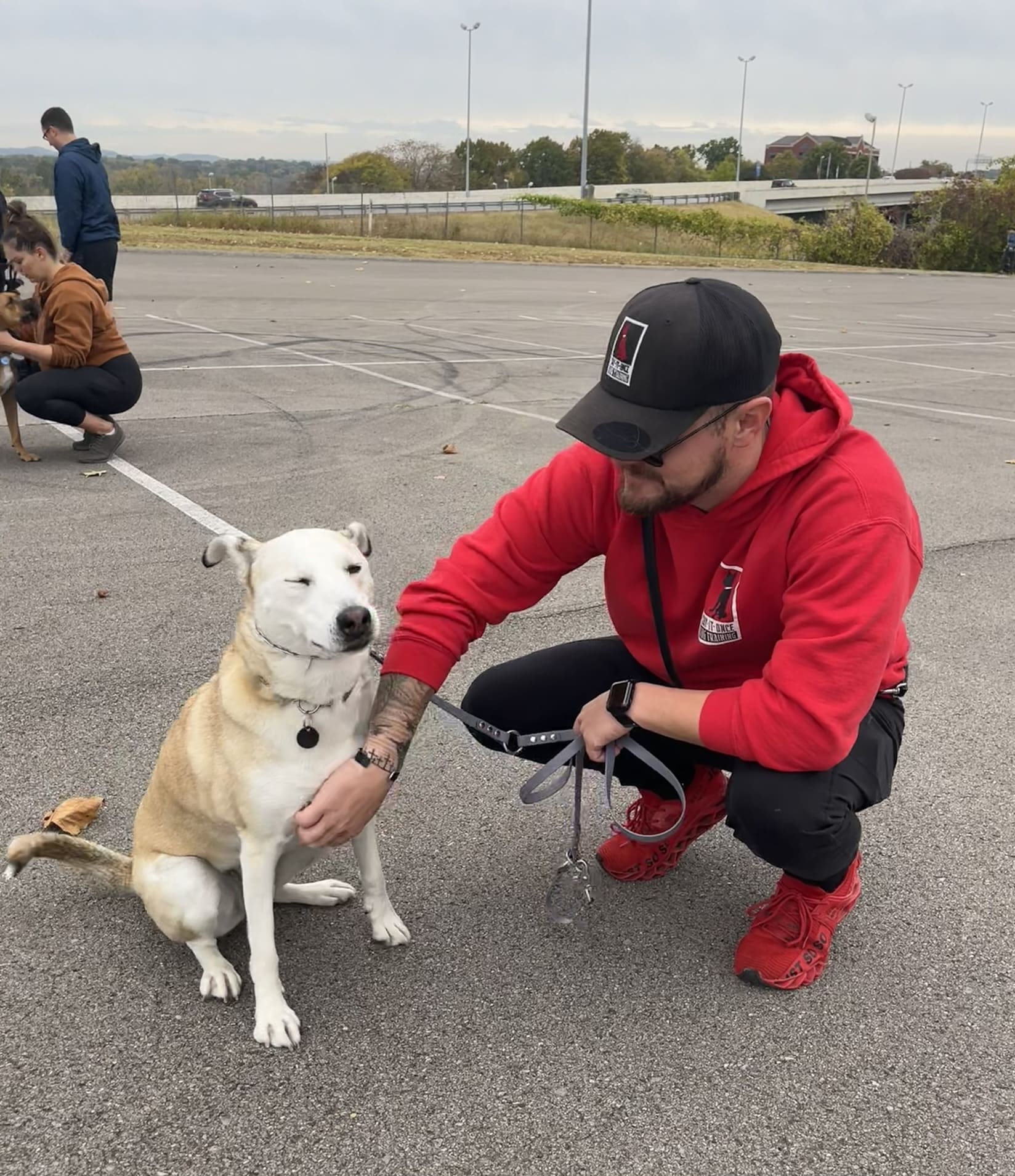 Say It Once Dog Training - Nashville - ,