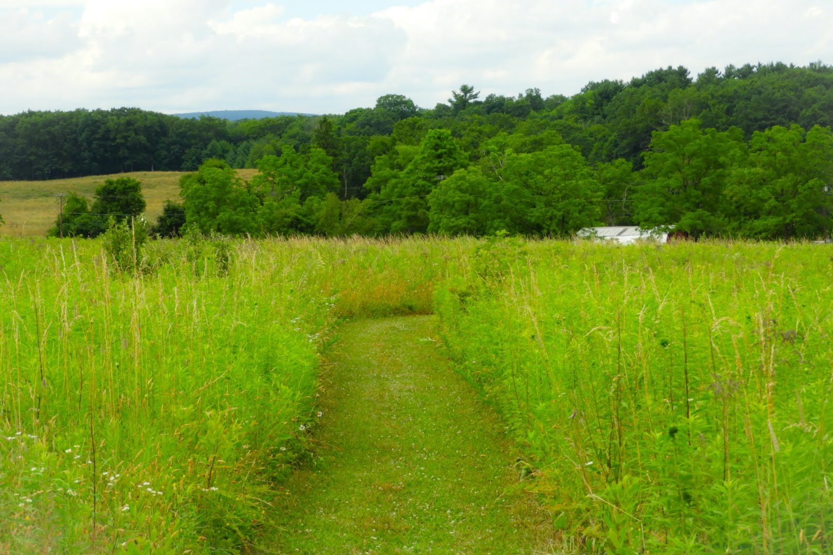 West End Regional Park - Saylorsburg, PA