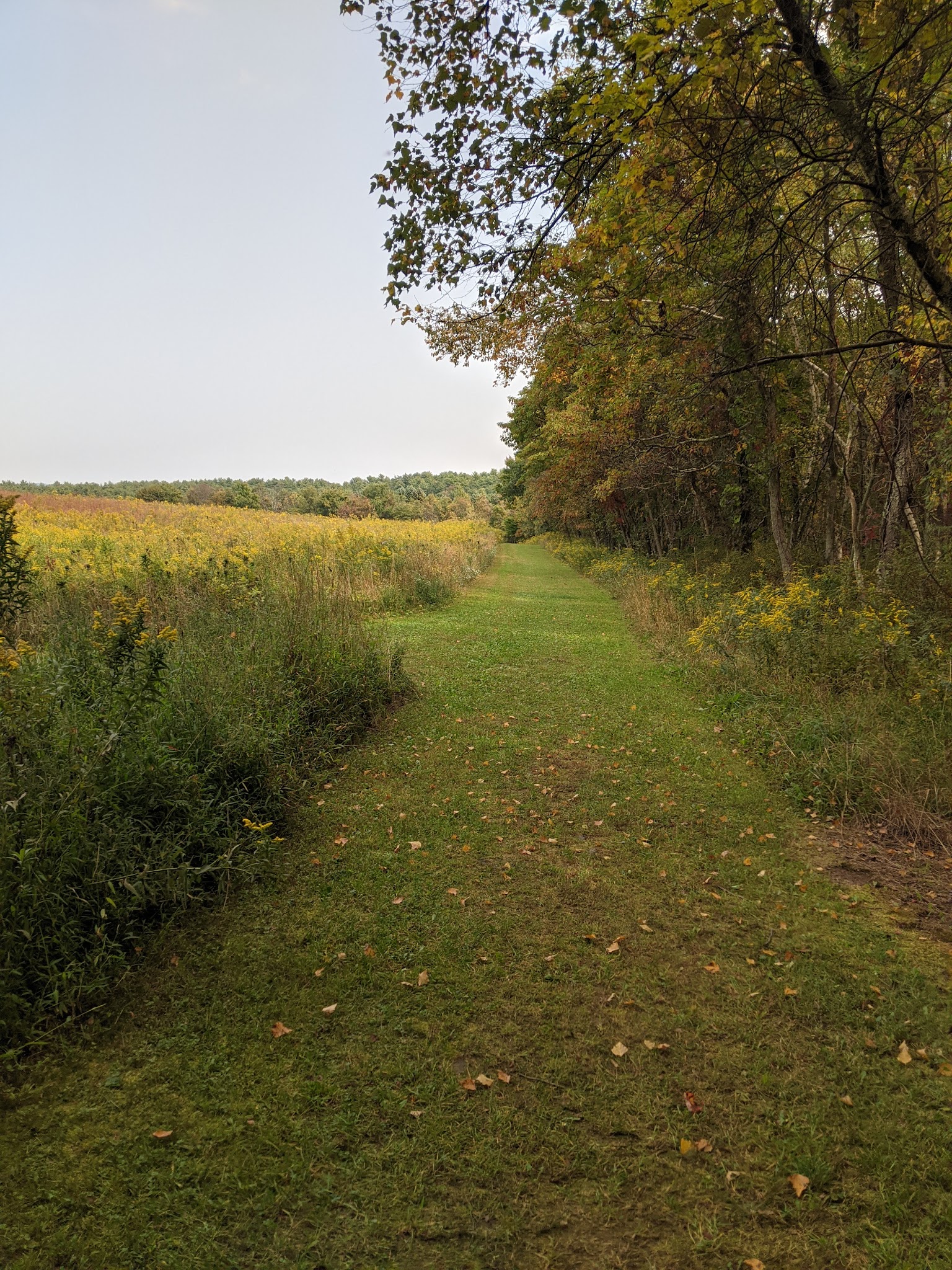 West End Regional Park - Saylorsburg, PA