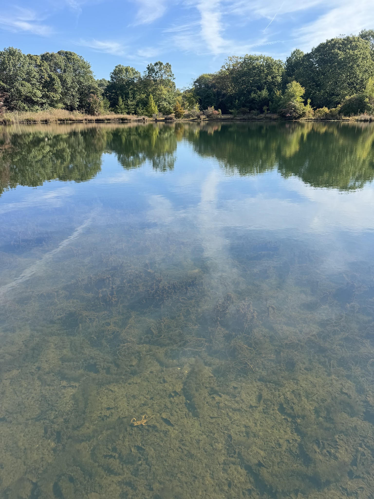 Bailey Park - Sayreville, NJ