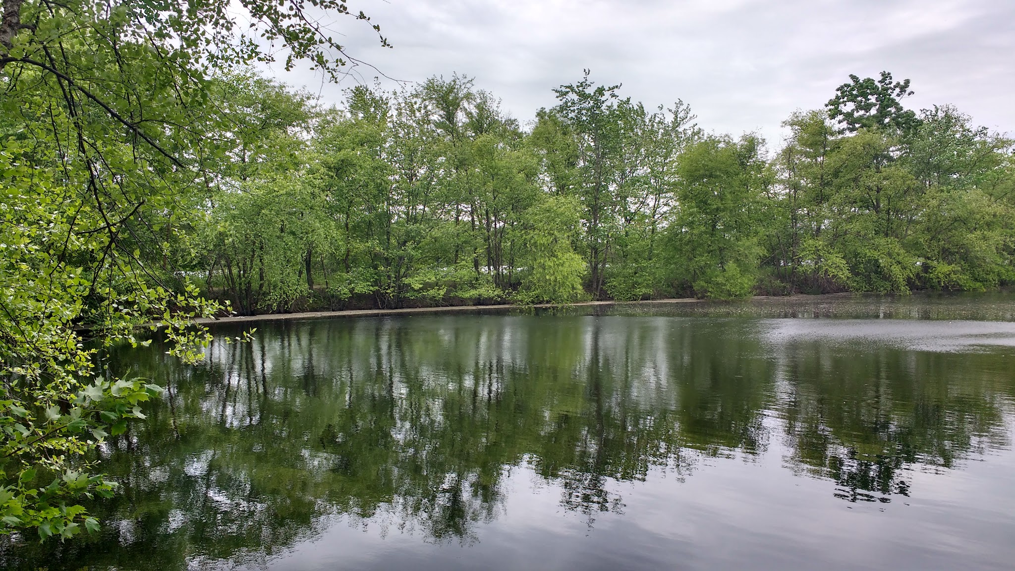Julian L. Capik Nature Preserve - Sayreville, NJ