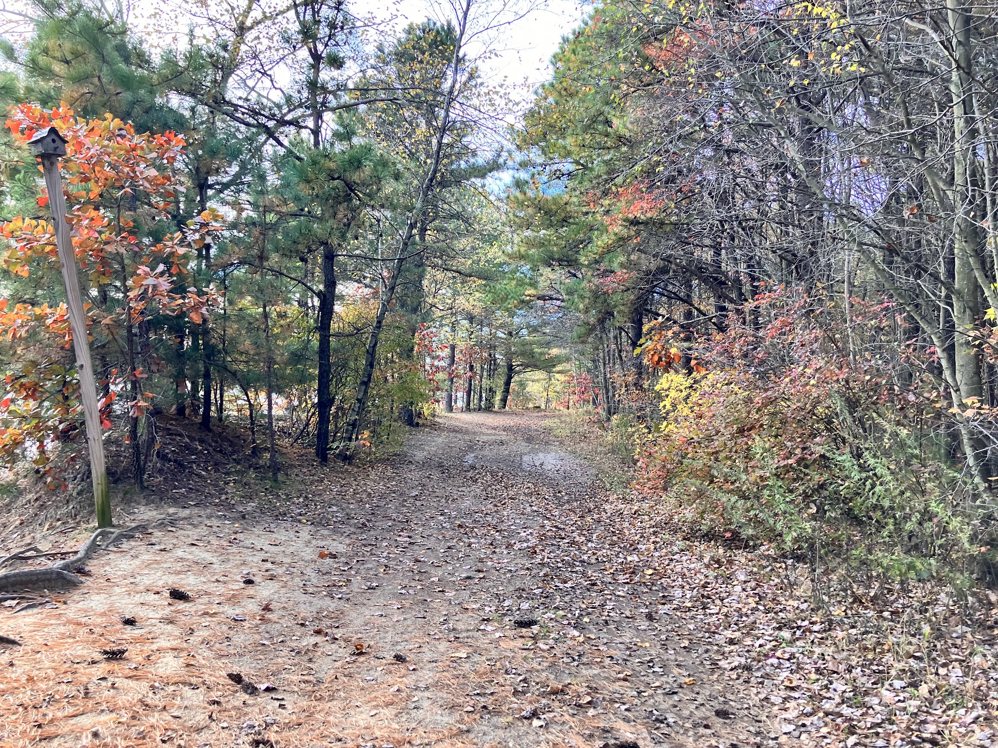 Julian L. Capik Nature Preserve - Sayreville, NJ