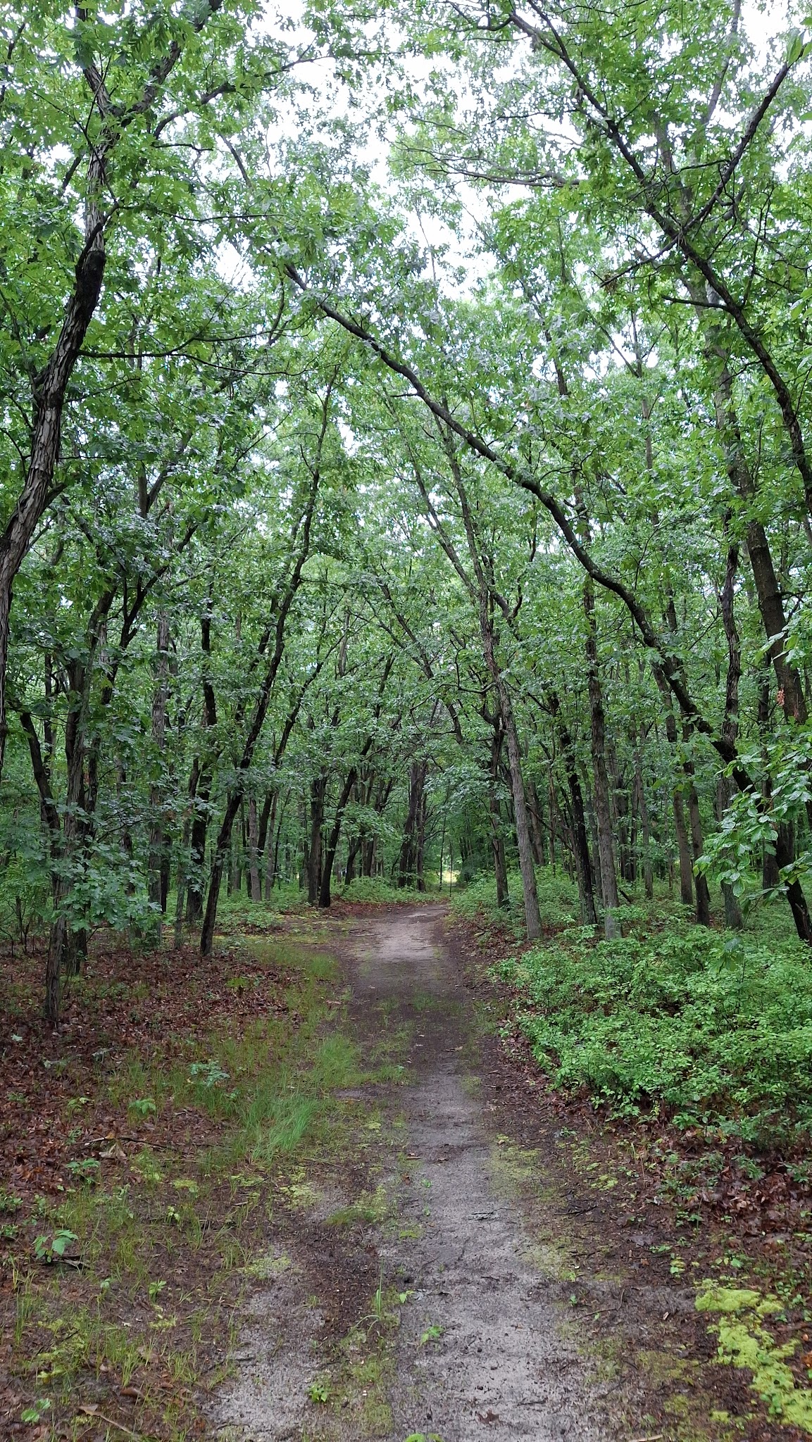 Julian L. Capik Nature Preserve - Sayreville, NJ