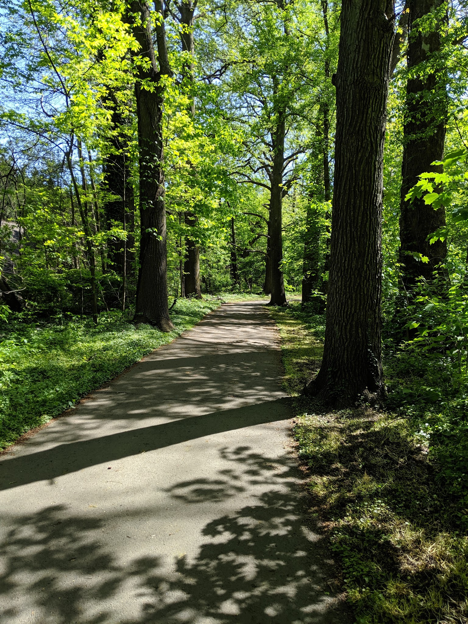 Garth Road Park - Scarsdale, NY