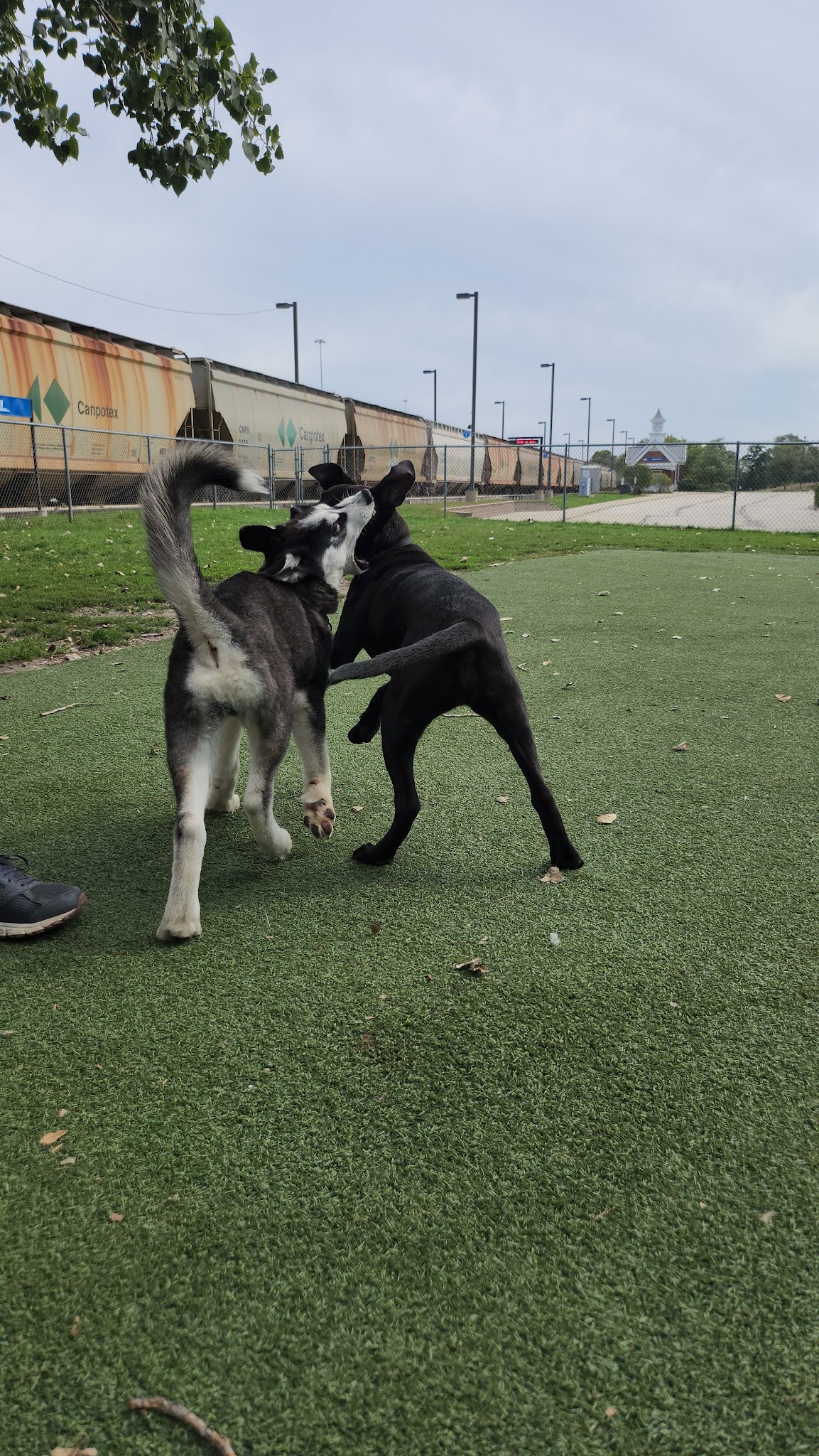 Schiller Park "Bark" Park - Schiller Park, IL
