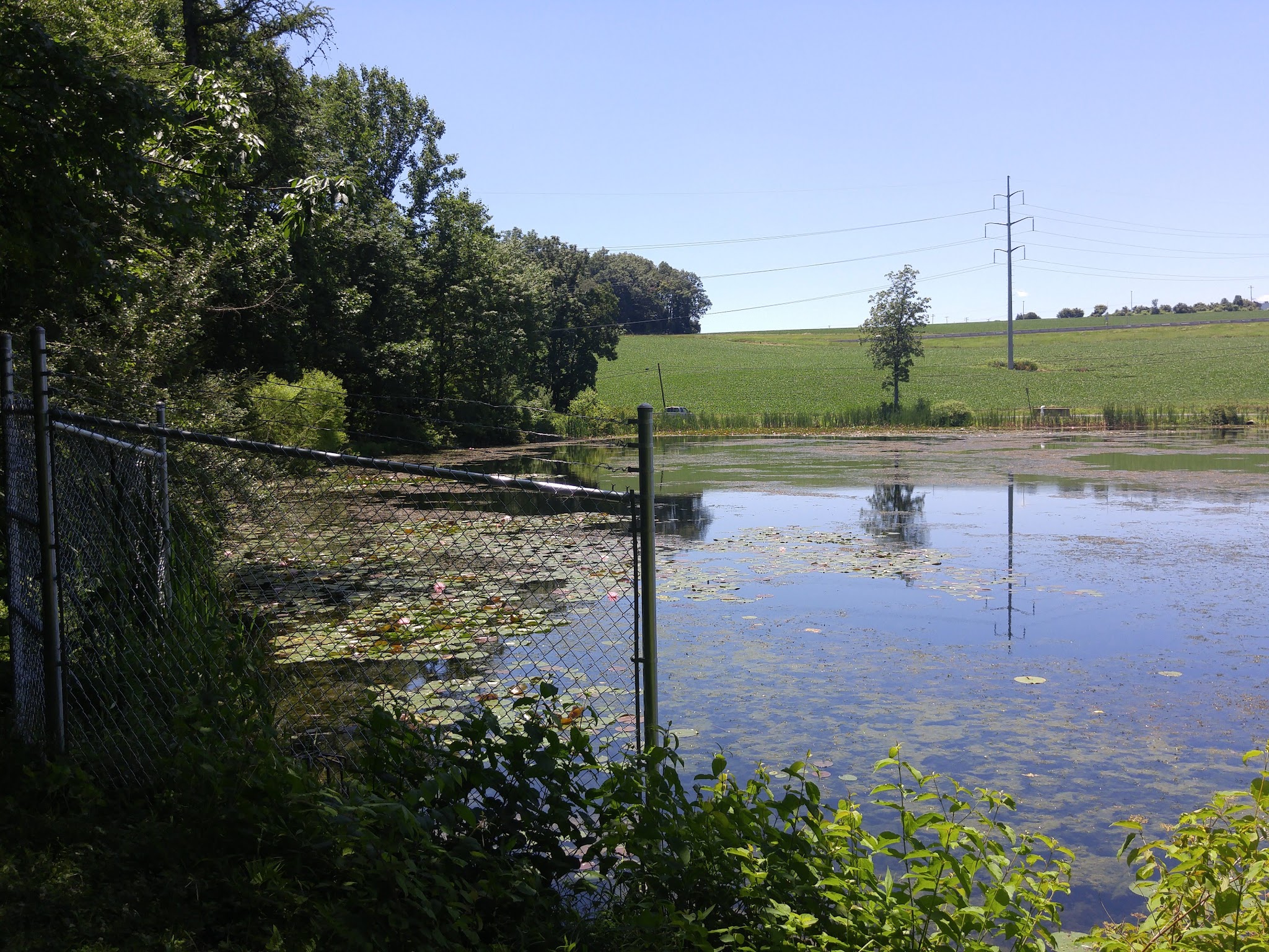 Johnson's Pond Wildlife Park - Schnecksville, PA