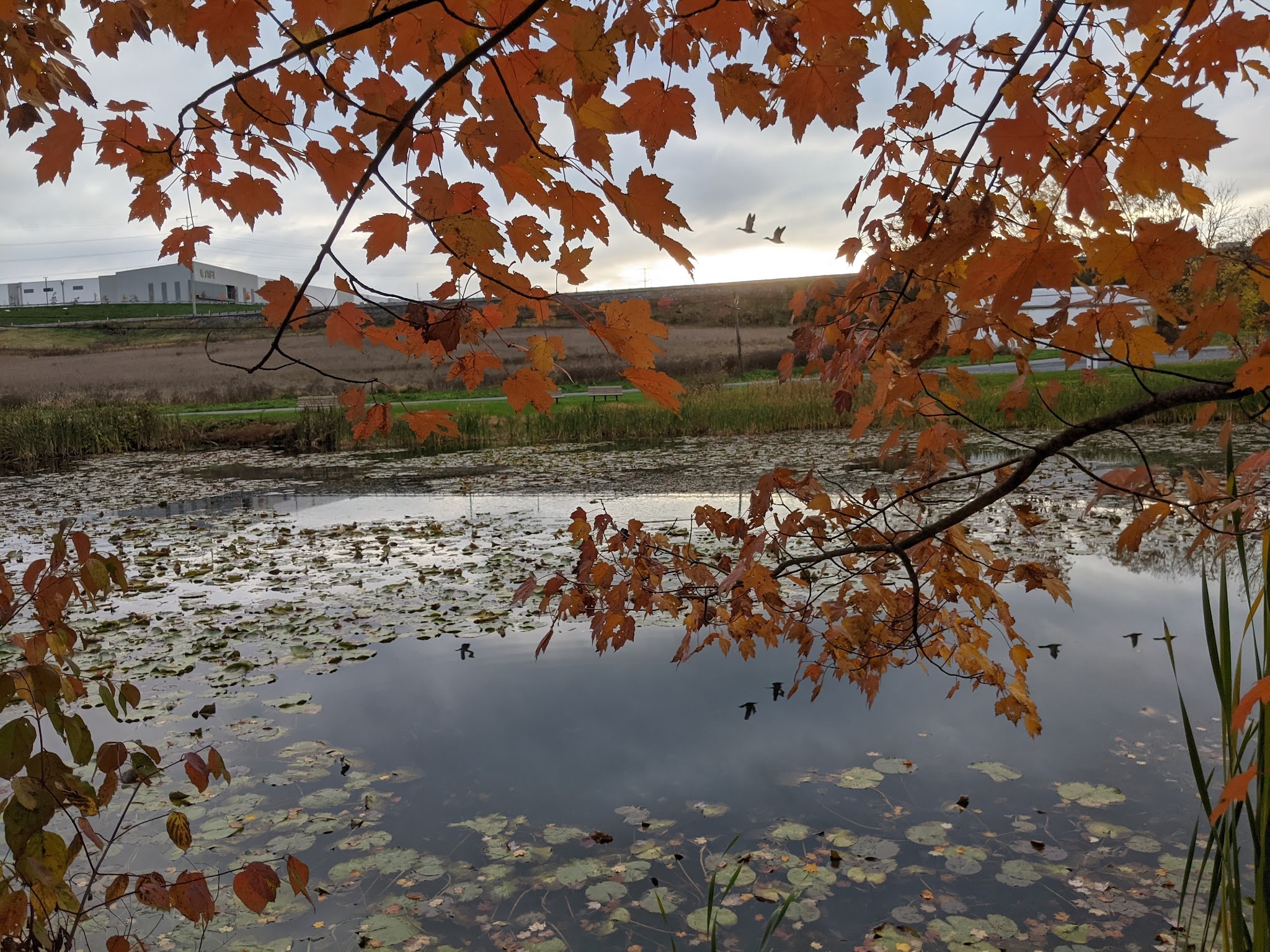 Johnson's Pond Wildlife Park - Schnecksville, PA