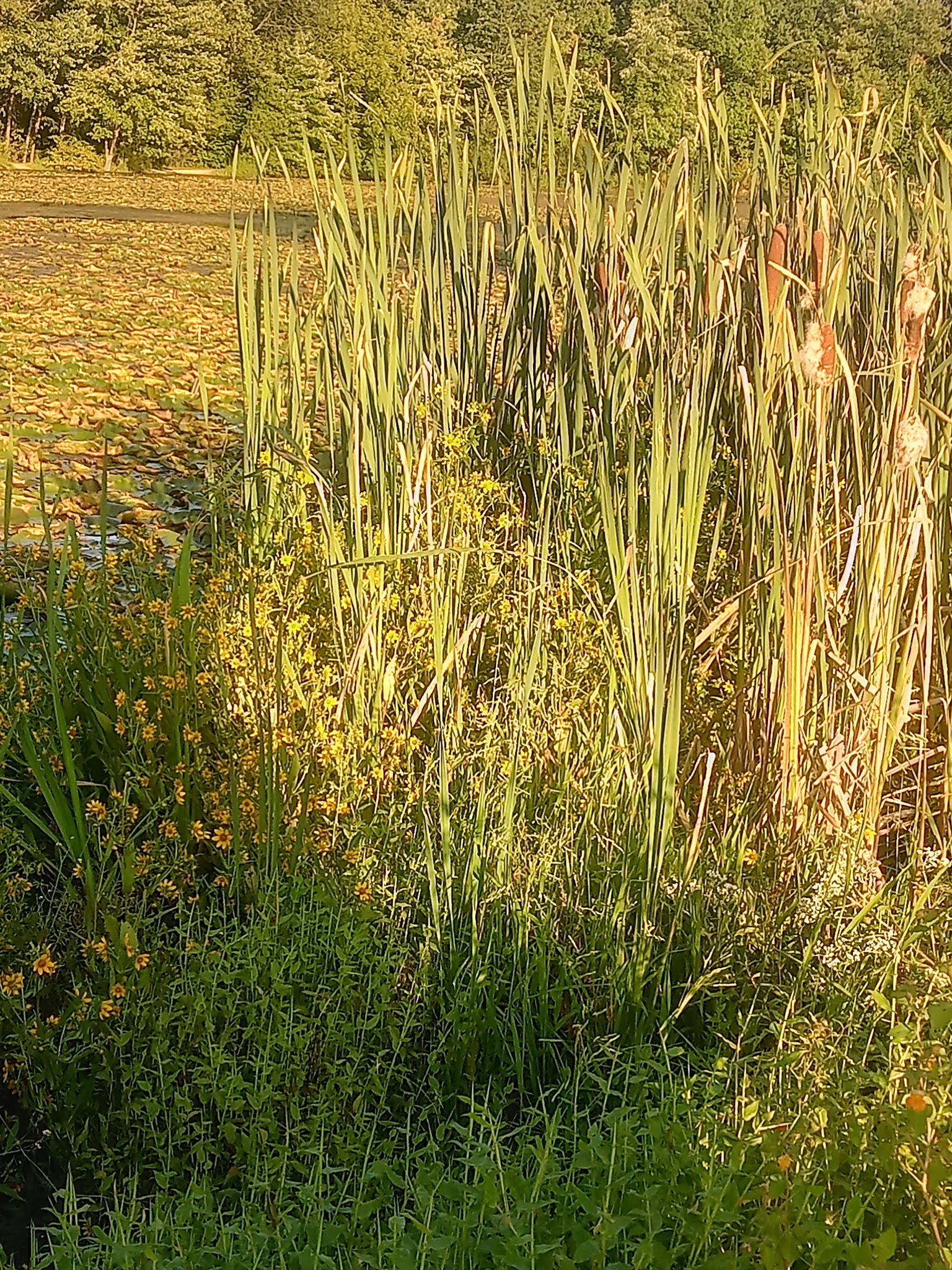 Johnson's Pond Wildlife Park - Schnecksville, PA