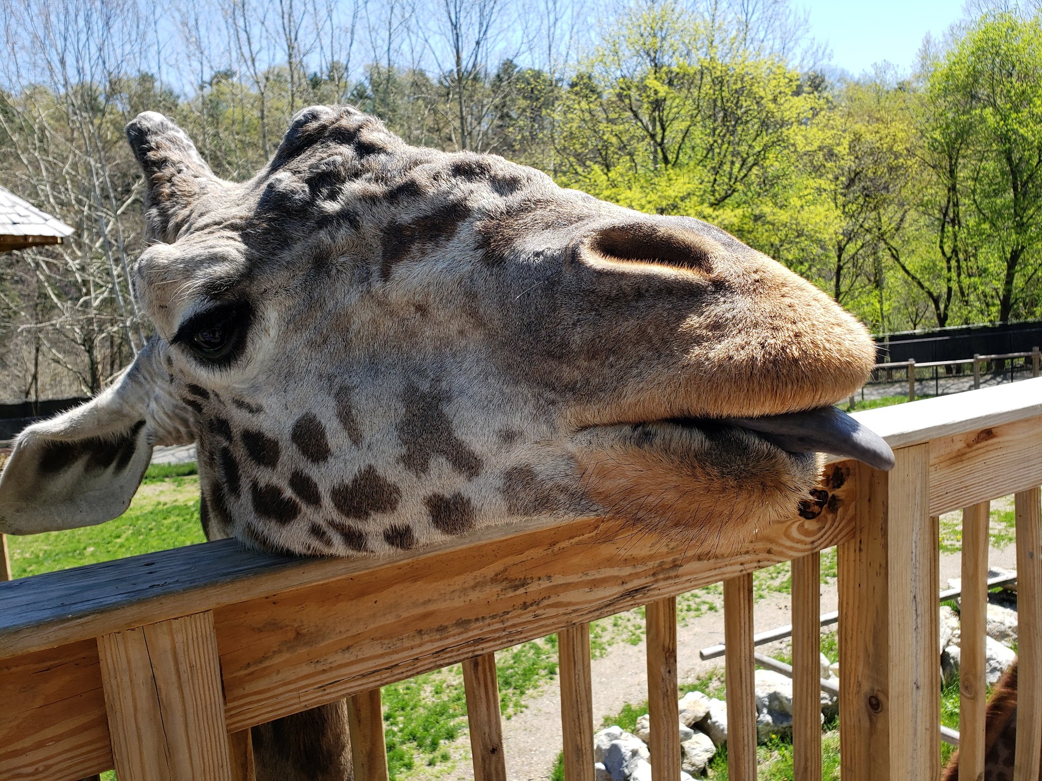 Trexler Nature Preserve - Schnecksville, PA