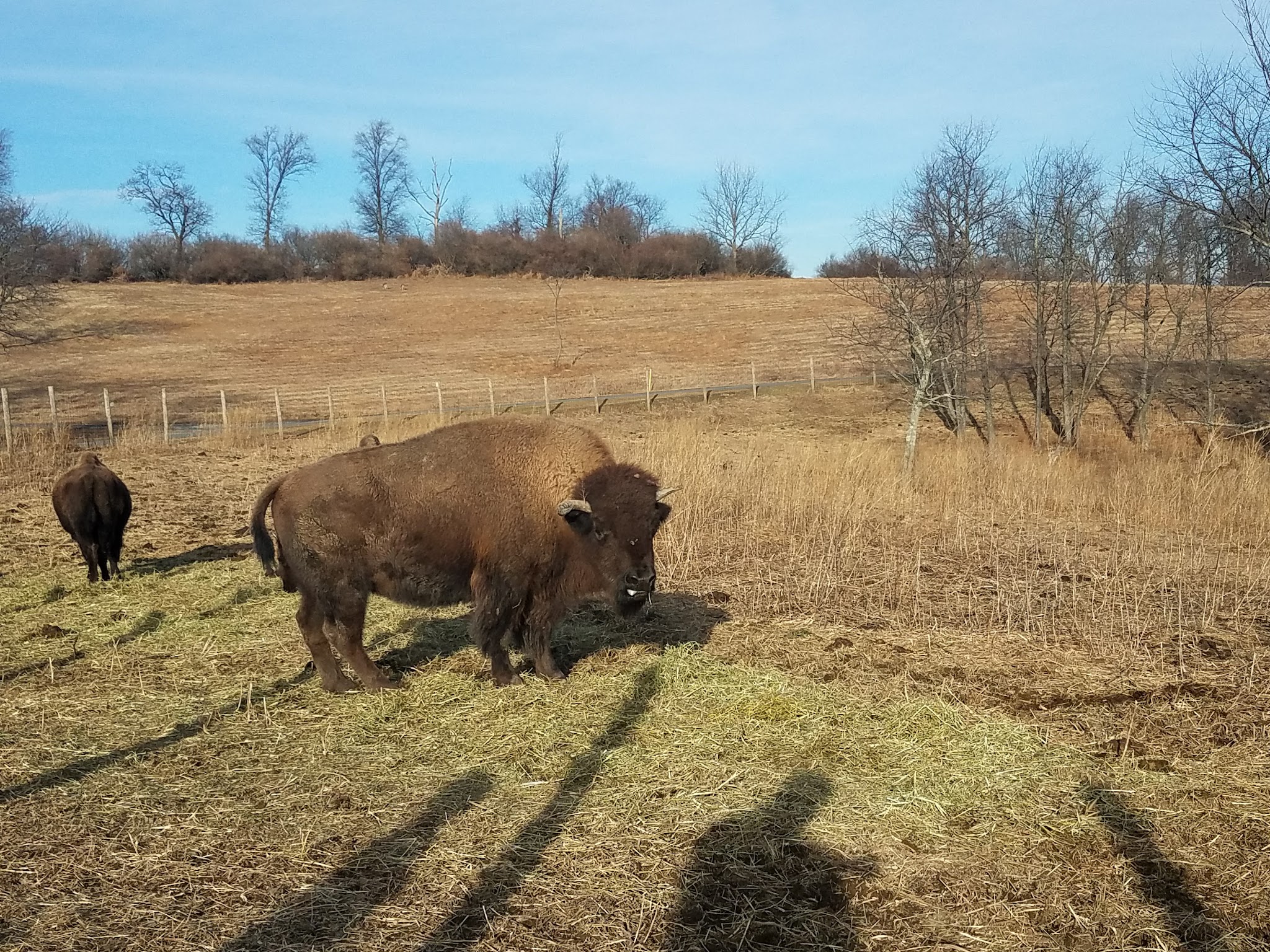 Trexler Nature Preserve - Schnecksville, PA