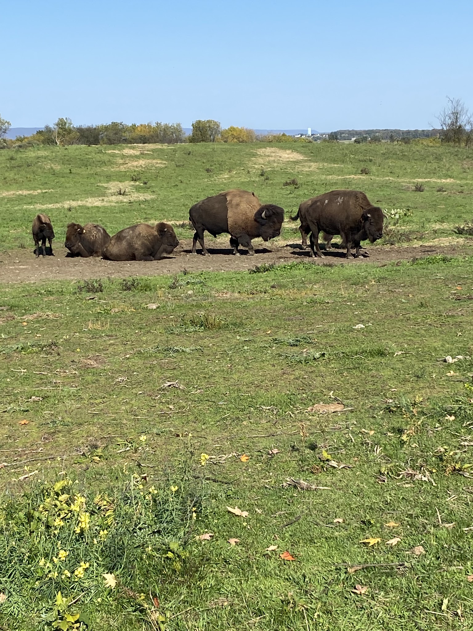 Trexler Nature Preserve - Schnecksville, PA
