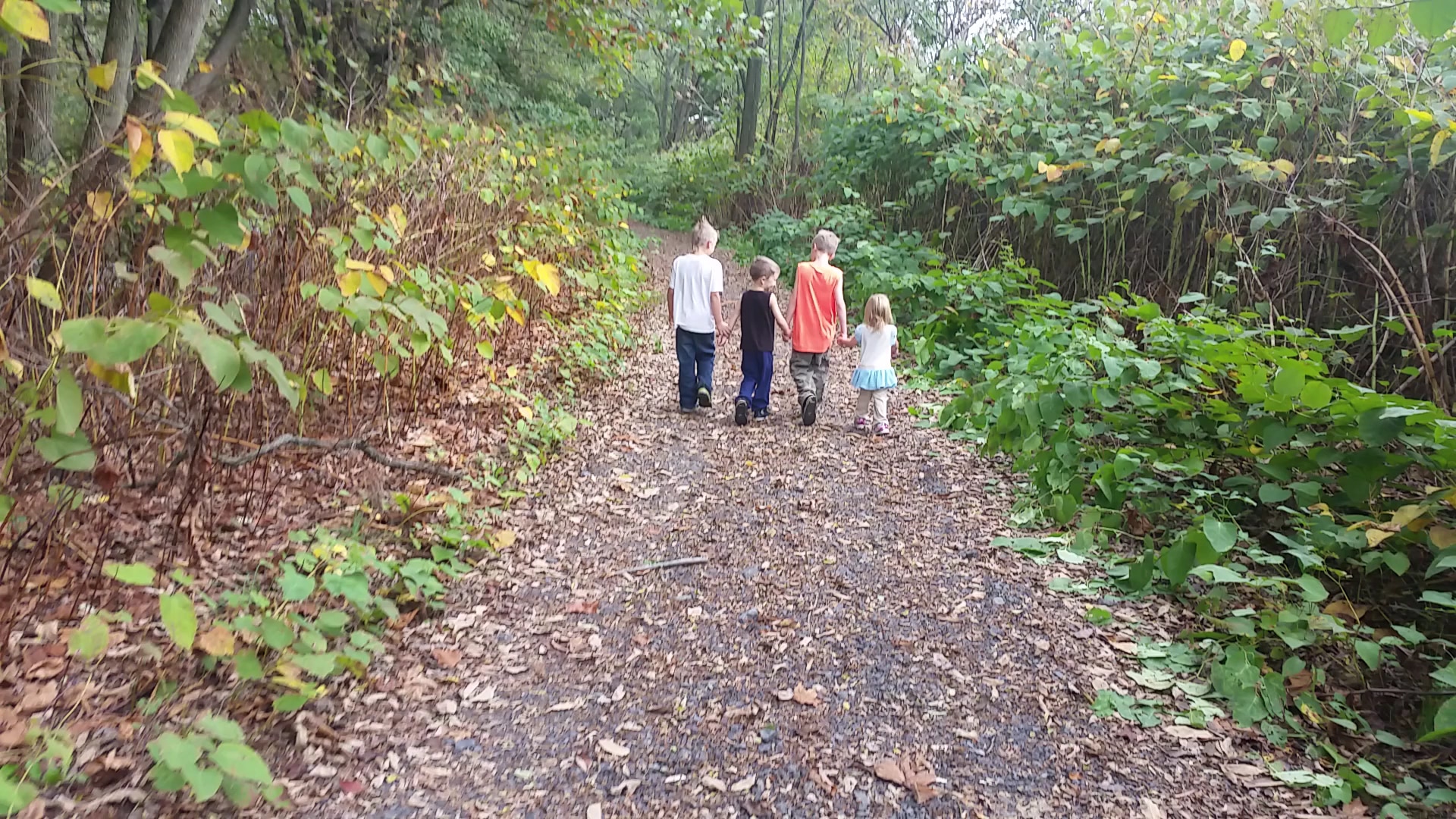 Island Park Complex - Schuylkill Haven, PA