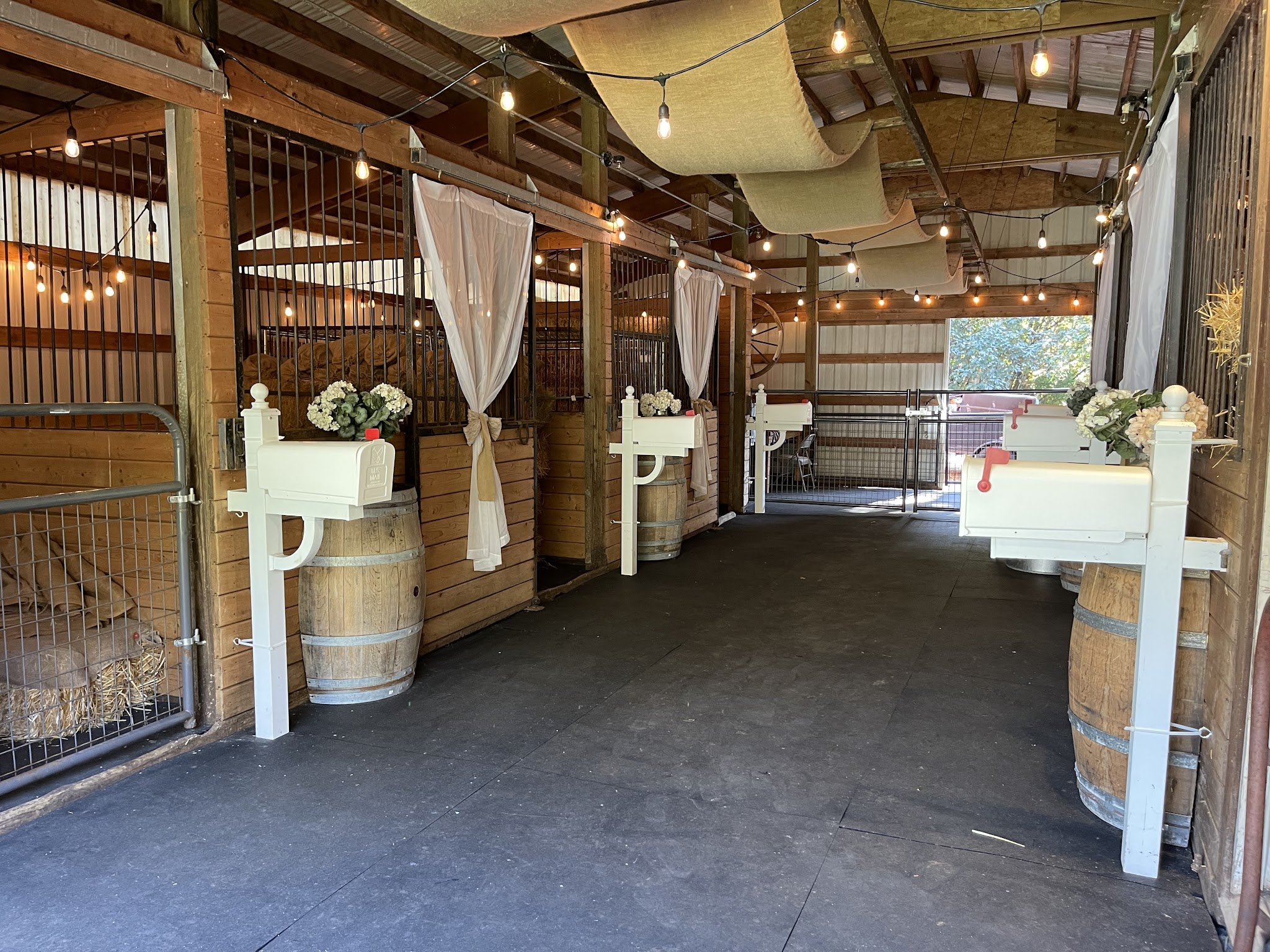 RidgeStables LLC Doggie daycare and pet boarding - Scio, OR