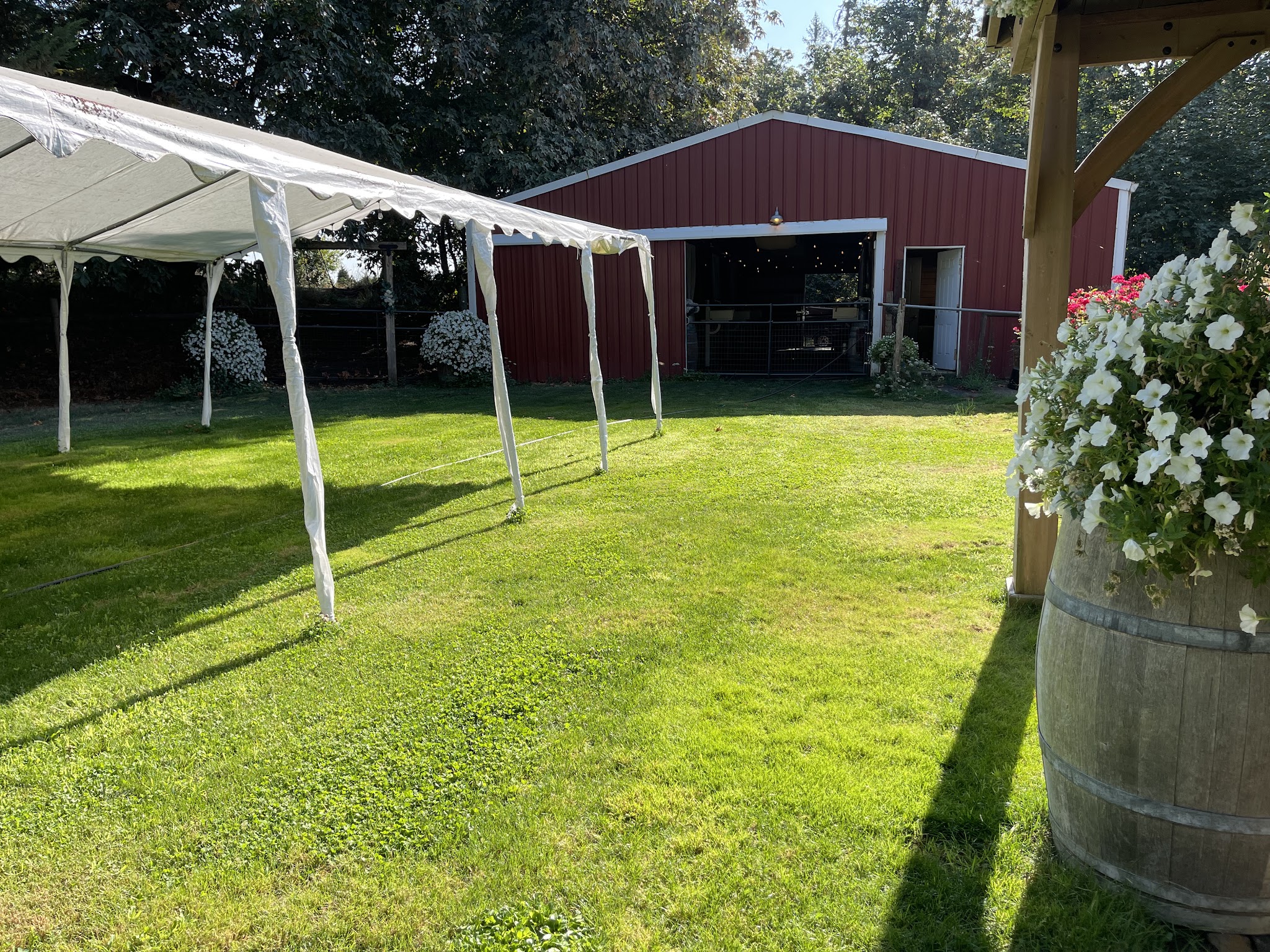 RidgeStables LLC Doggie daycare and pet boarding - Scio, OR