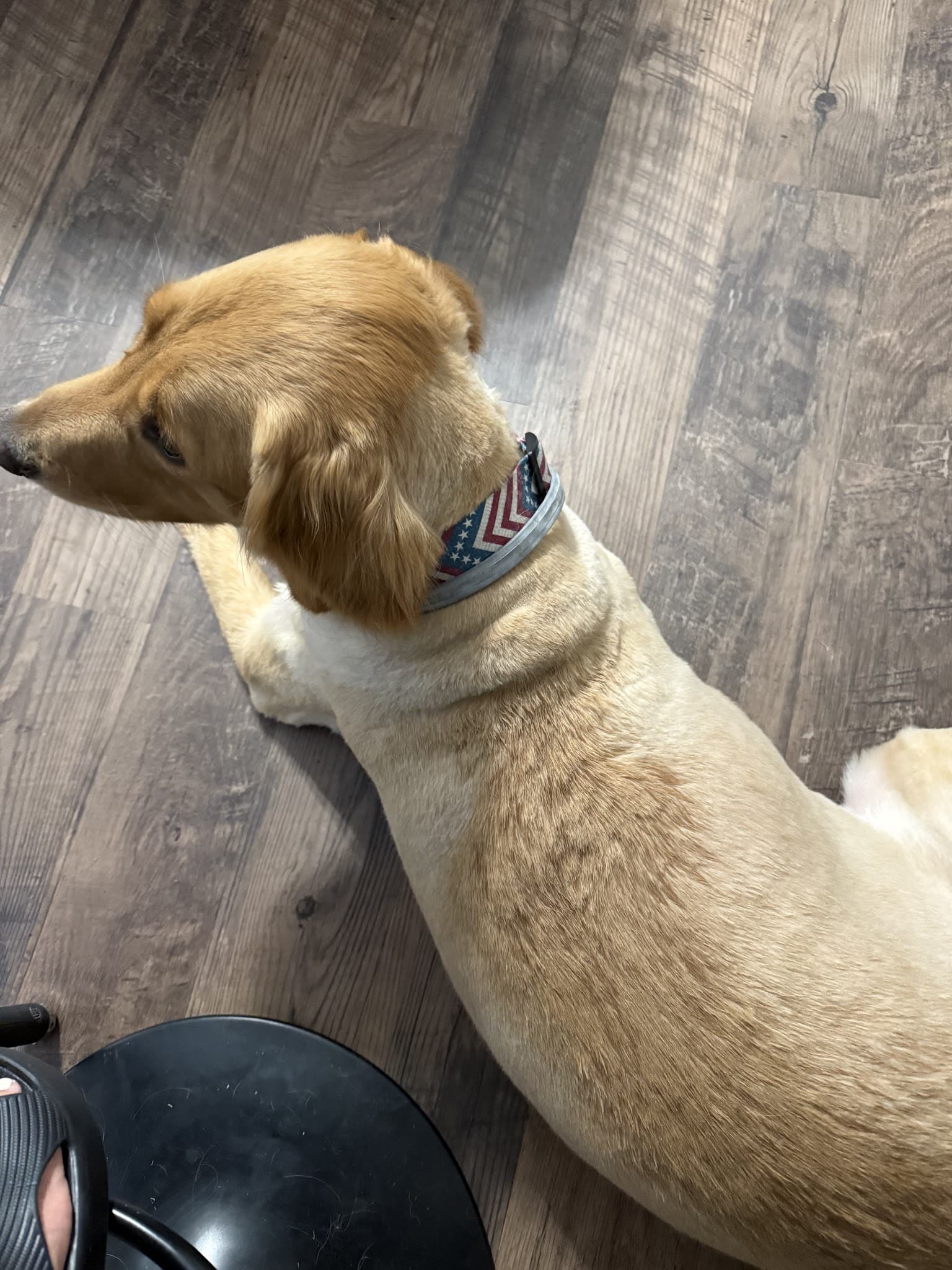 Poconos Barking Lot - Sciota, PA