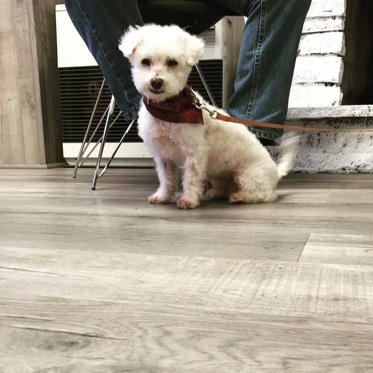 Poconos Barking Lot - Sciota, PA