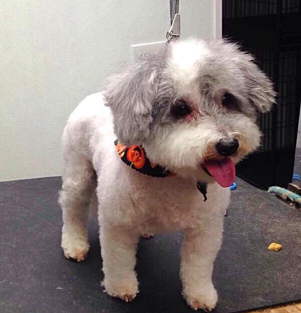 Poconos Barking Lot - Sciota, PA