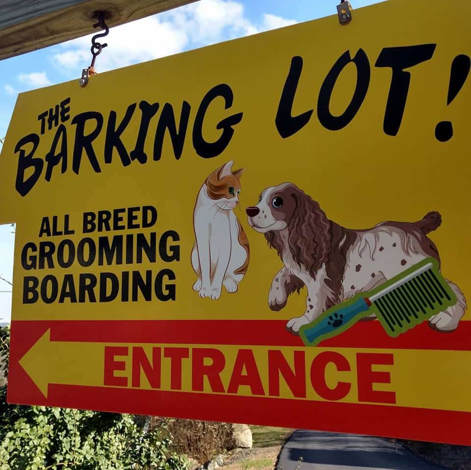 Poconos Barking Lot - Sciota, PA