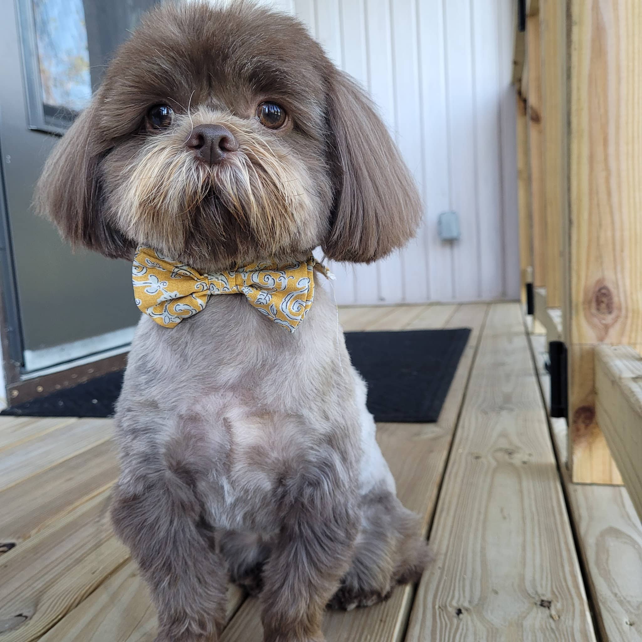 Poconos Barking Lot - Sciota, PA