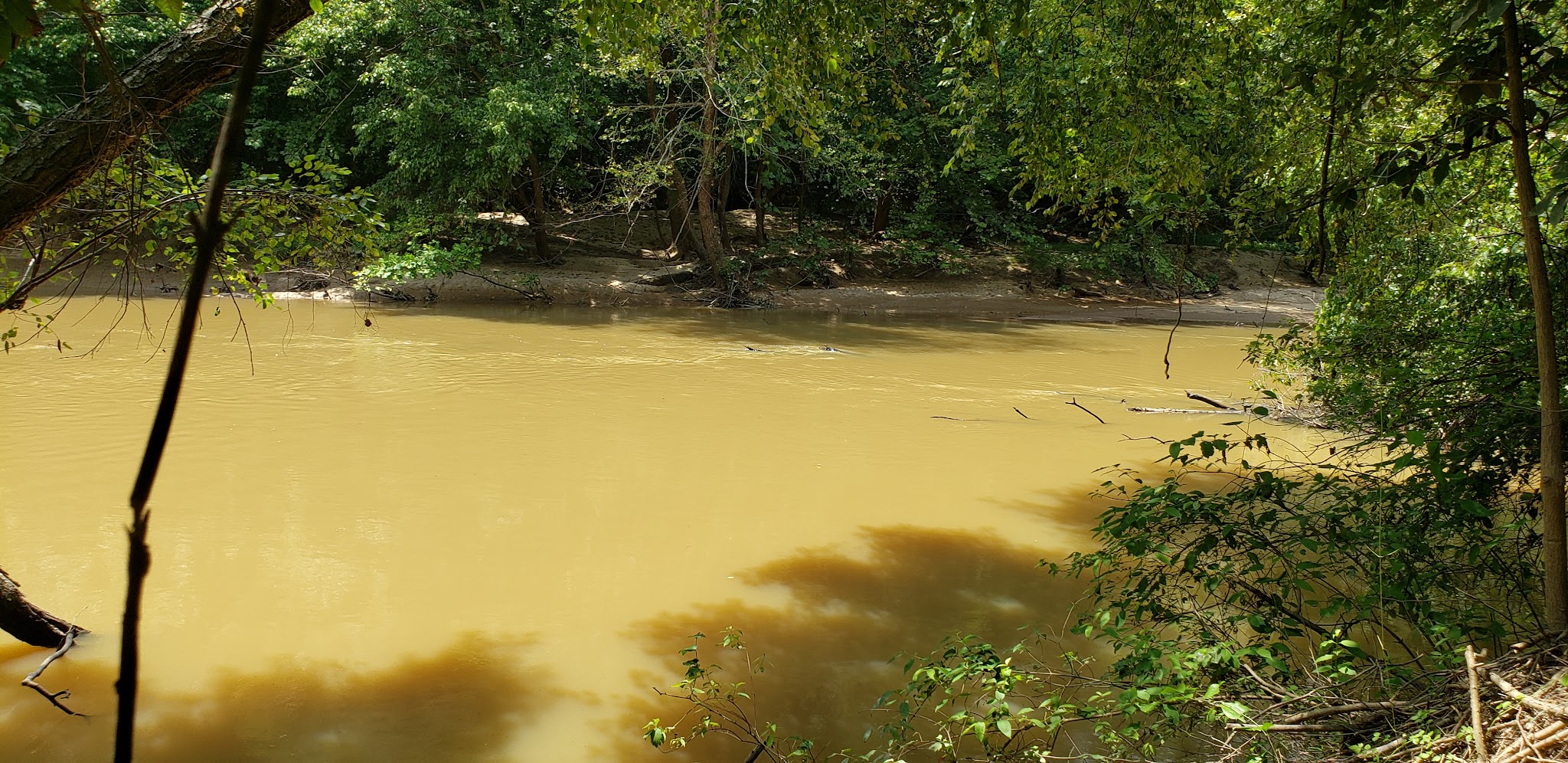 Banister River North Wildlife Management Area - Scottsburg, VA