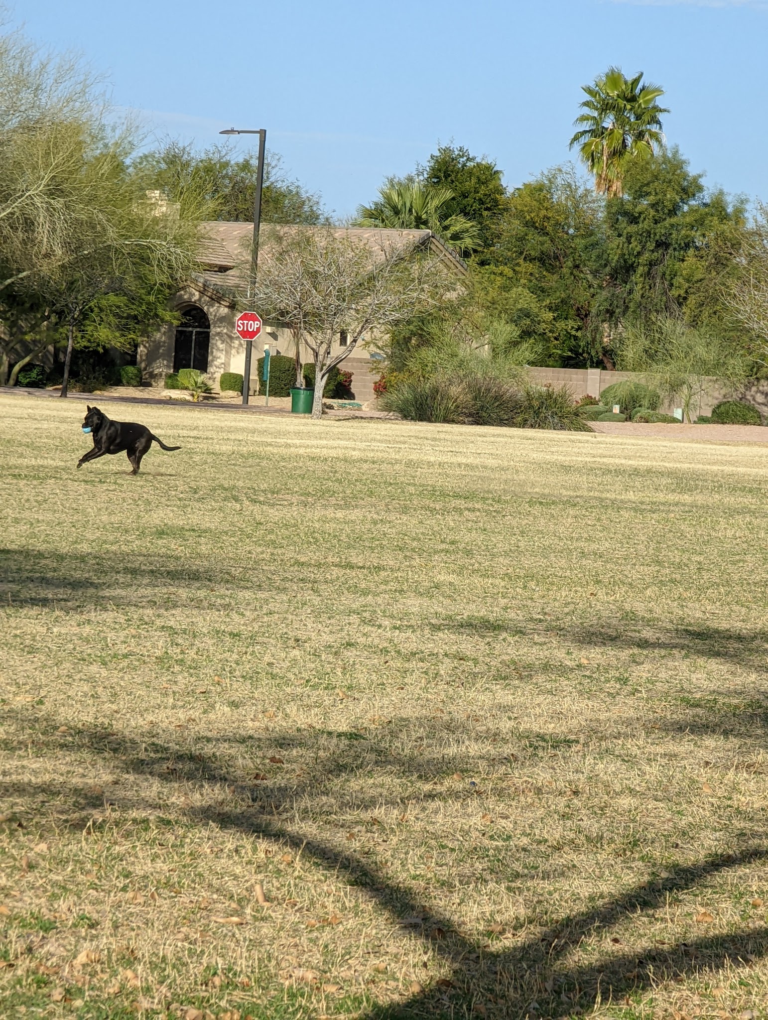 Kierland Park - Scottsdale, AZ