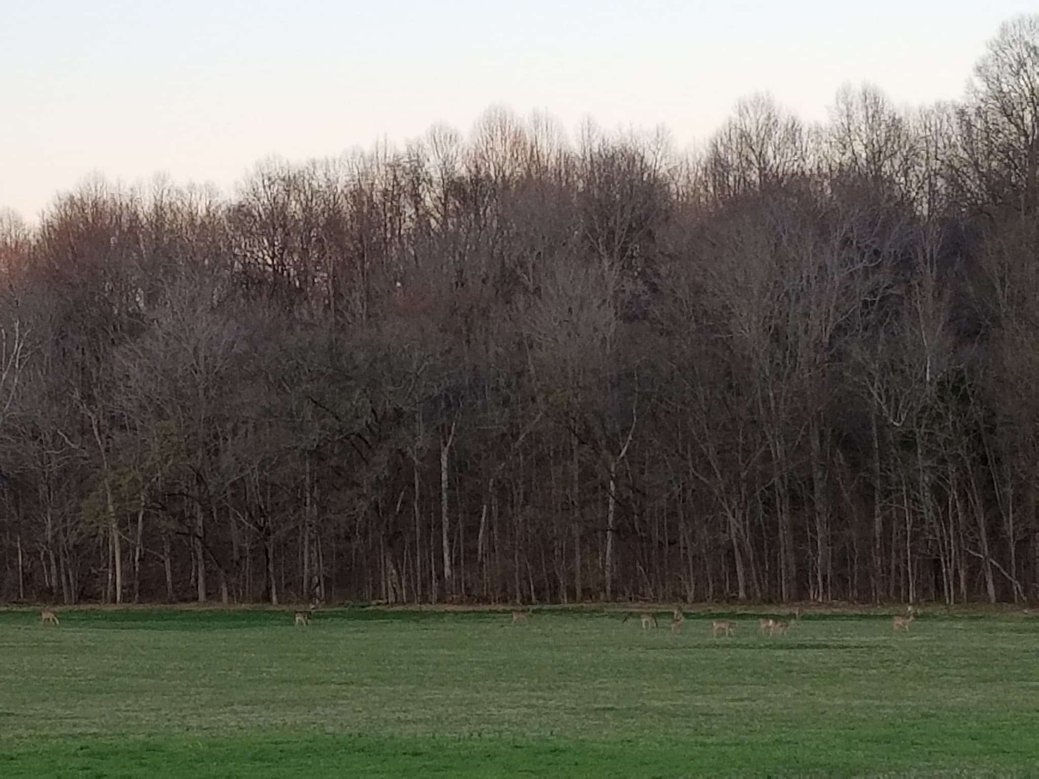 Dugas Community Park - Scottsville, KY