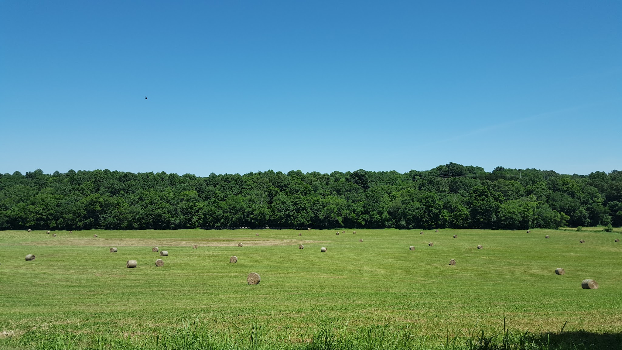 Dugas Community Park - Scottsville, KY