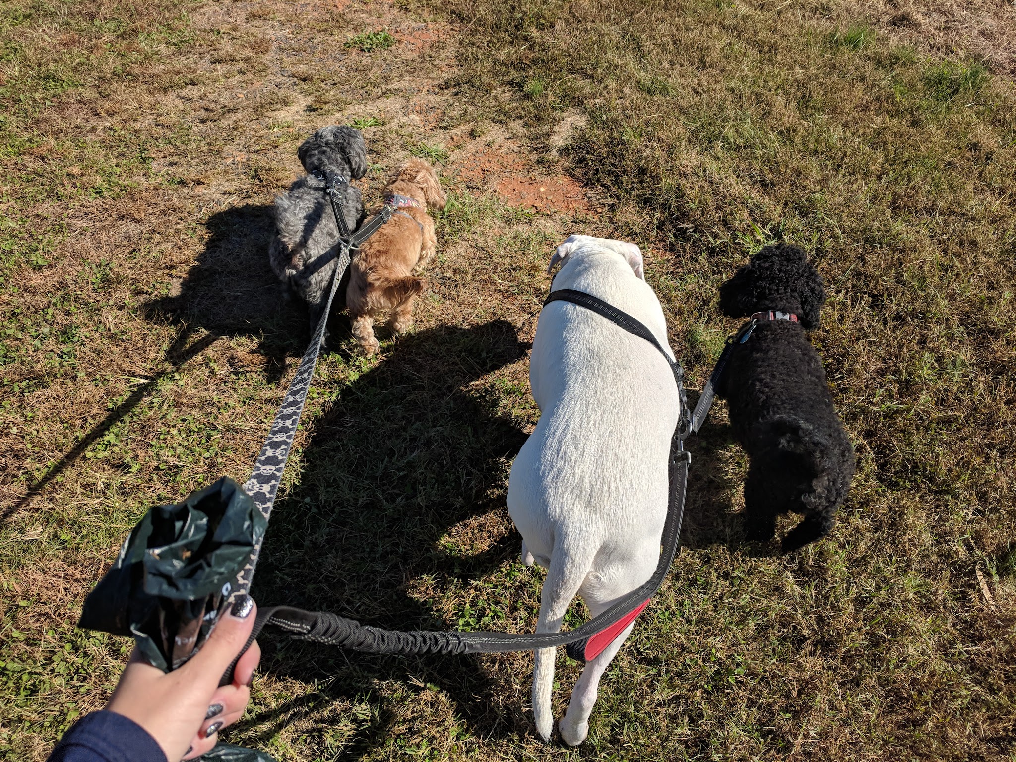Levee Walk - Scottsville, VA