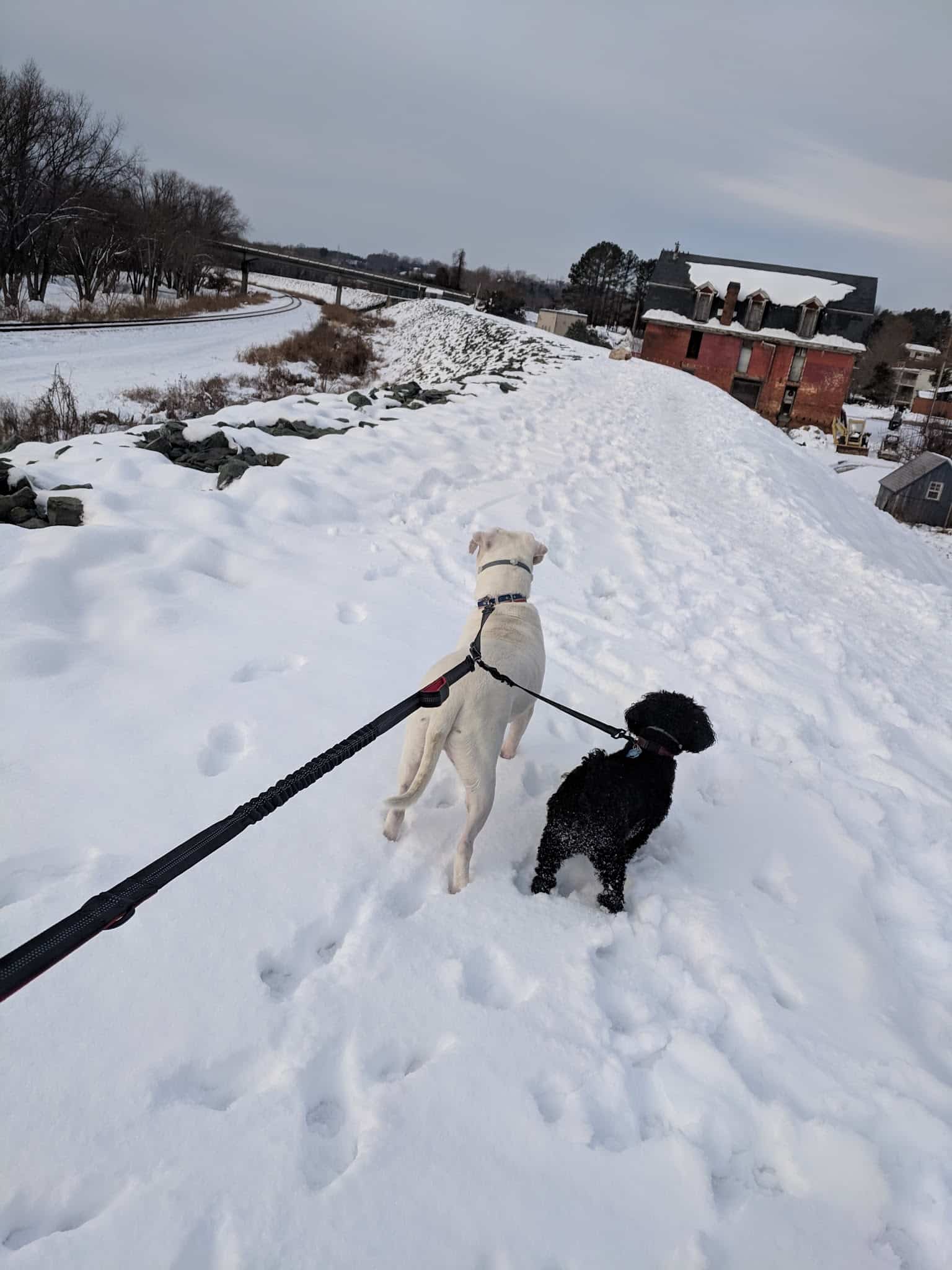 Levee Walk - Scottsville, VA