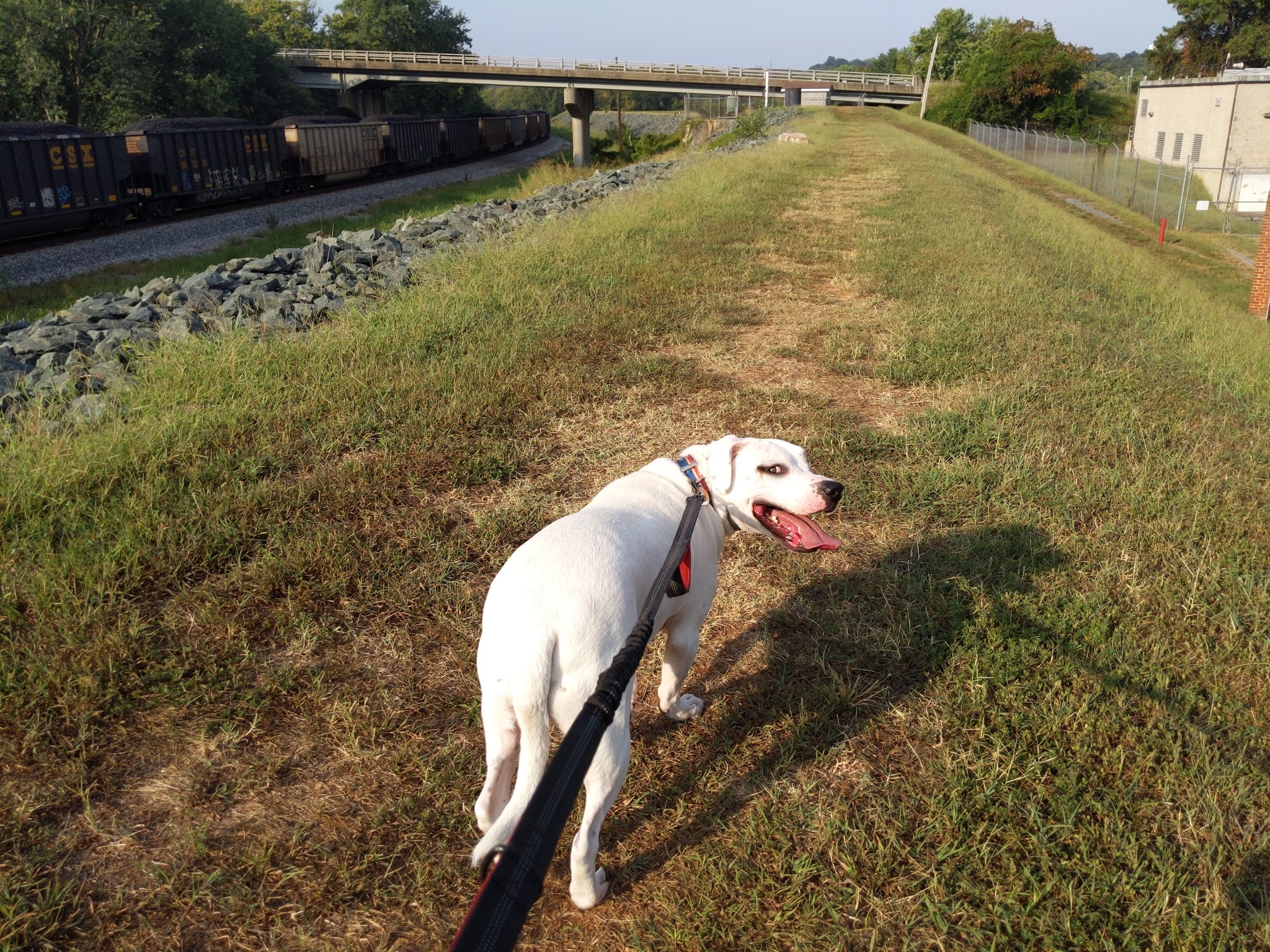 Levee Walk - Scottsville, VA