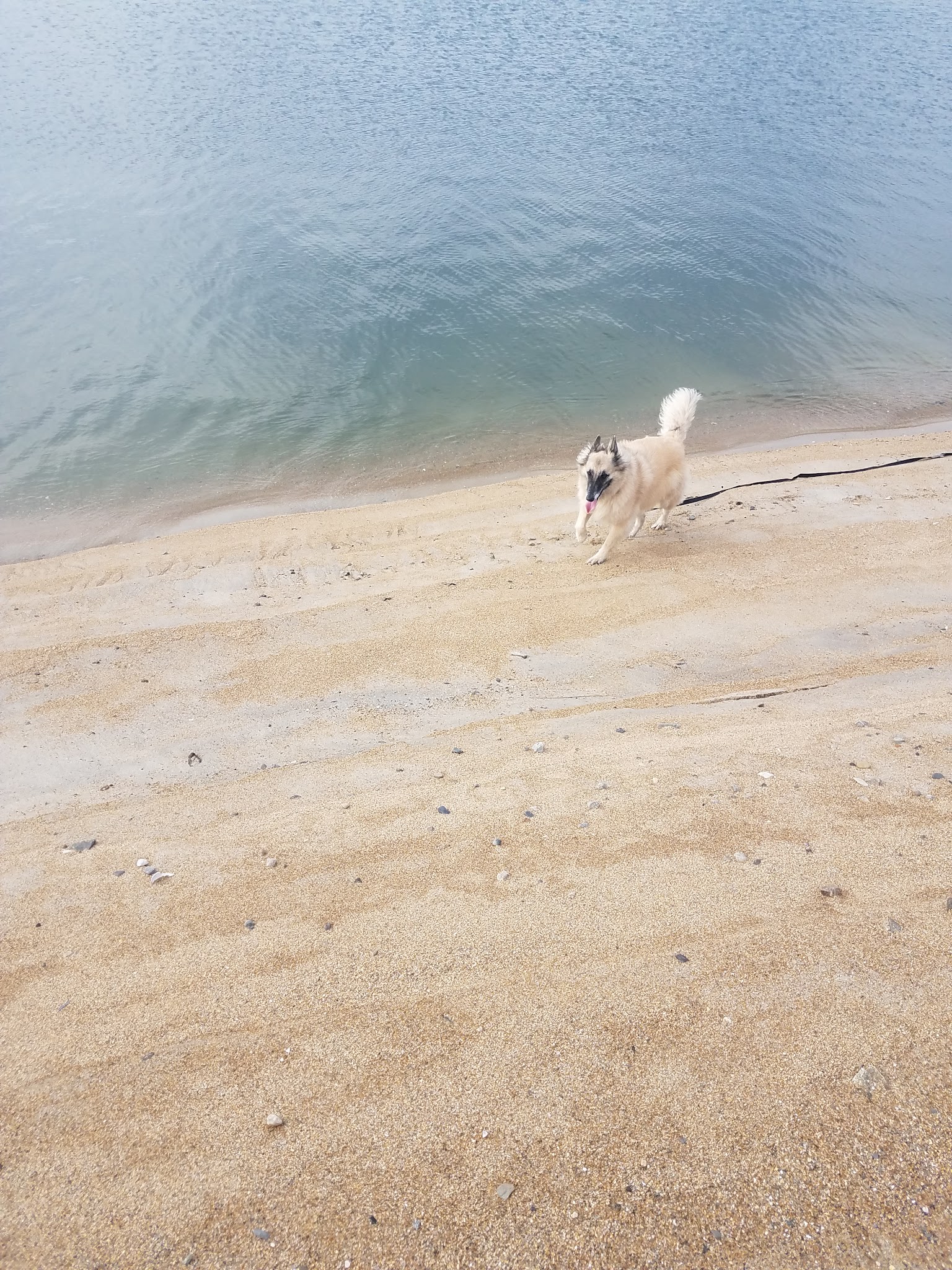 Harborside Dunes - Seabrook, NH
