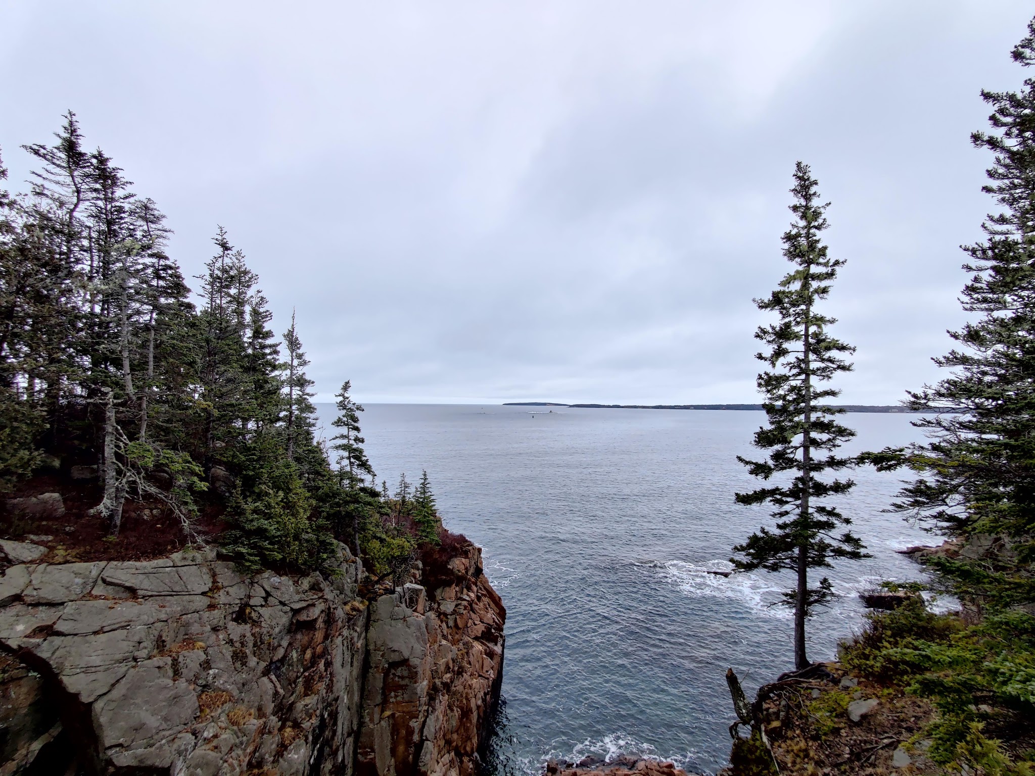 Mt Desert Land & Garden Preserve - Seal Harbor, ME