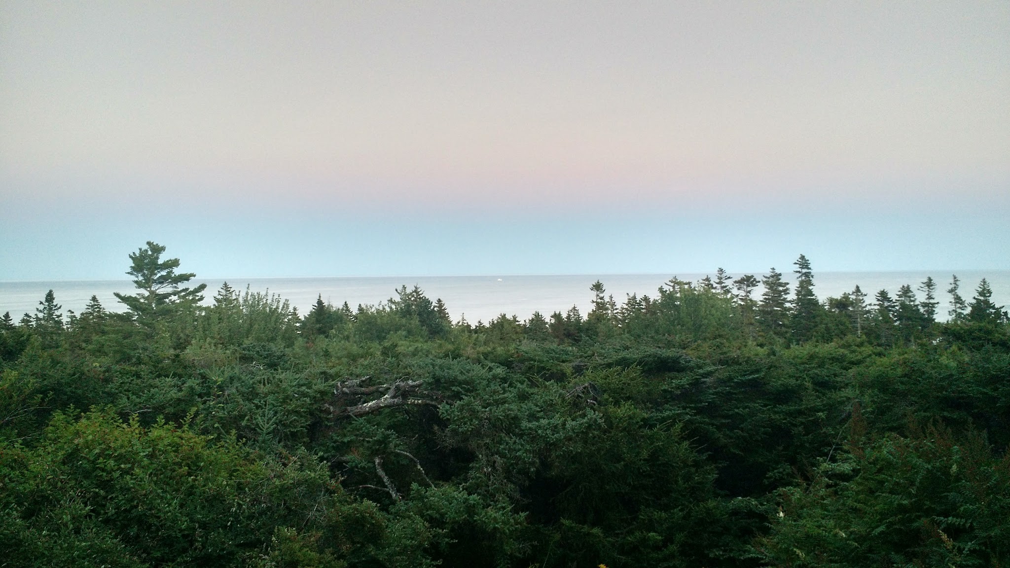 Mt Desert Land & Garden Preserve - Seal Harbor, ME