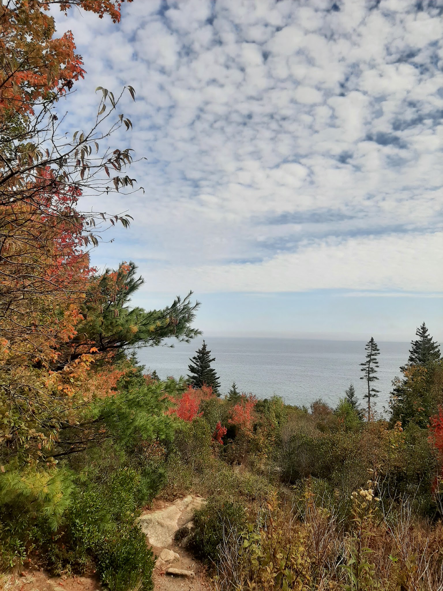Mt Desert Land & Garden Preserve - Seal Harbor, ME