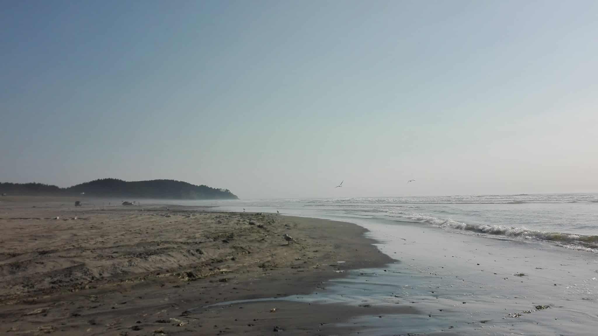 Seaview Trailhead - Seaview, WA