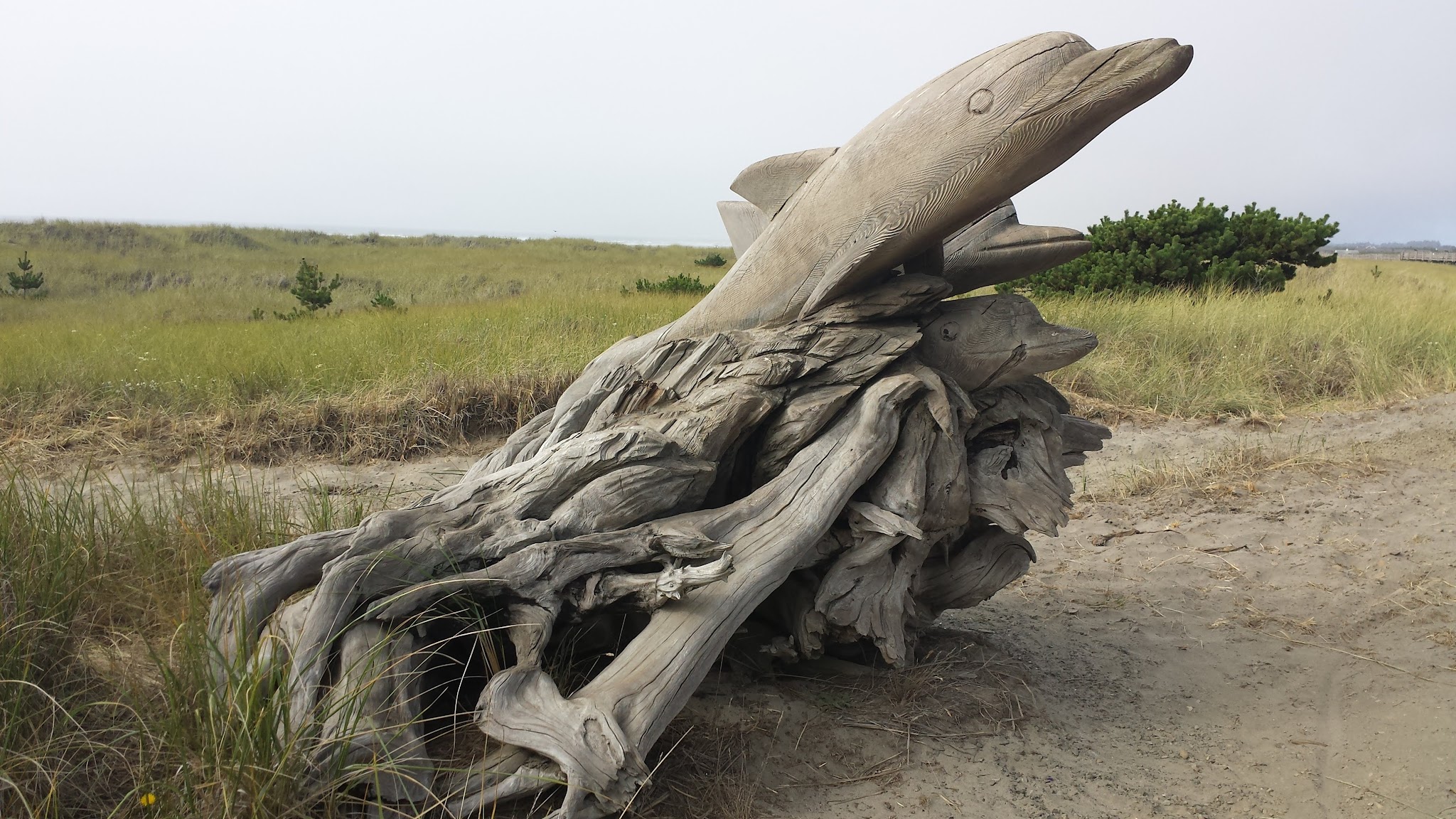 Seaview Trailhead - Seaview, WA