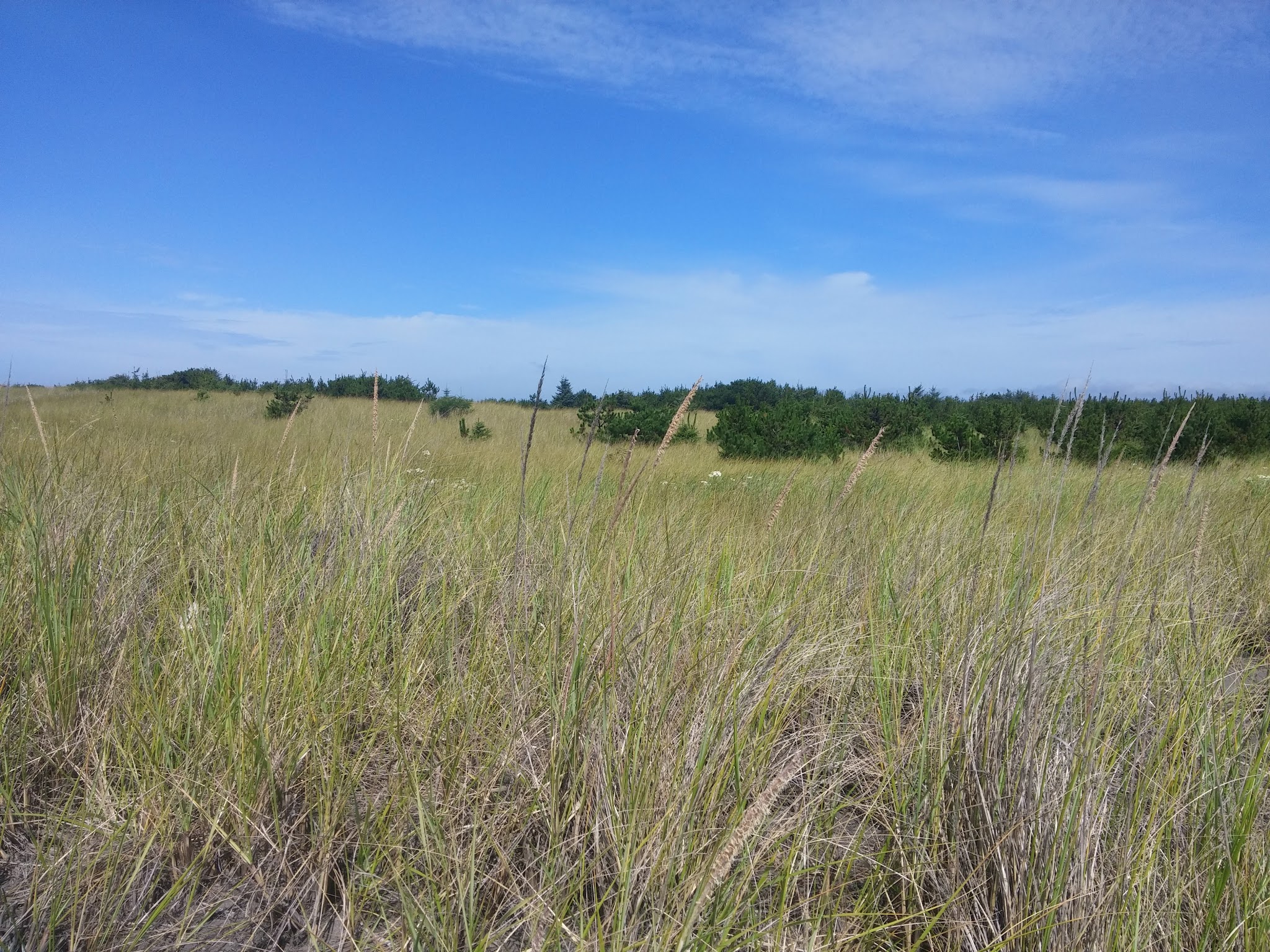 Seaview Trailhead - Seaview, WA