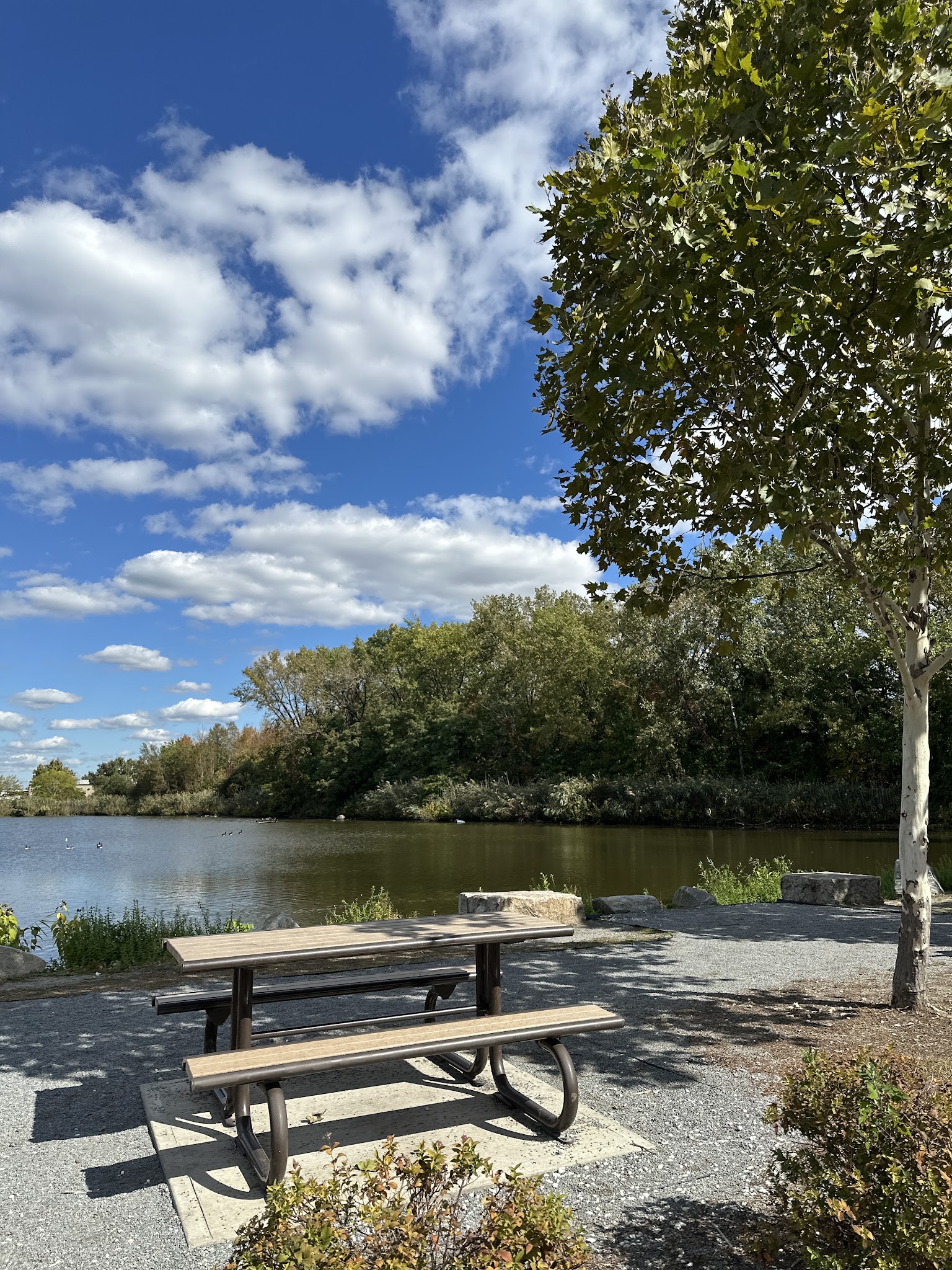 Duck Pond Park - Fishing Place - Secaucus, NJ