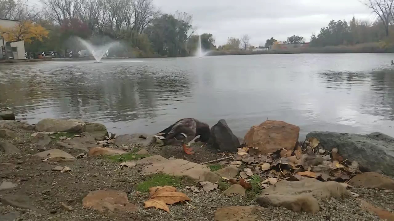 Duck Pond Park - Fishing Place - Secaucus, NJ