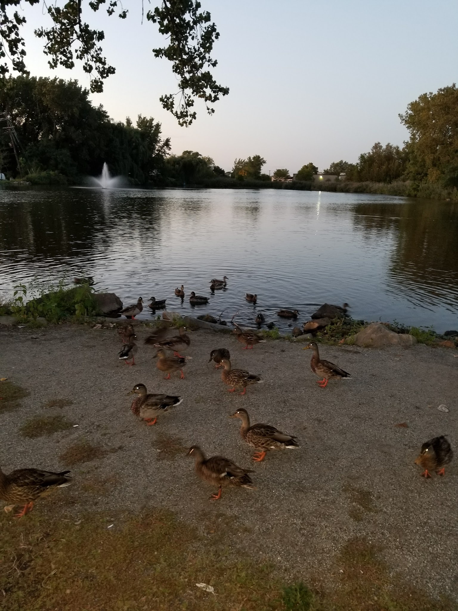 Duck Pond Park - Fishing Place - Secaucus, NJ