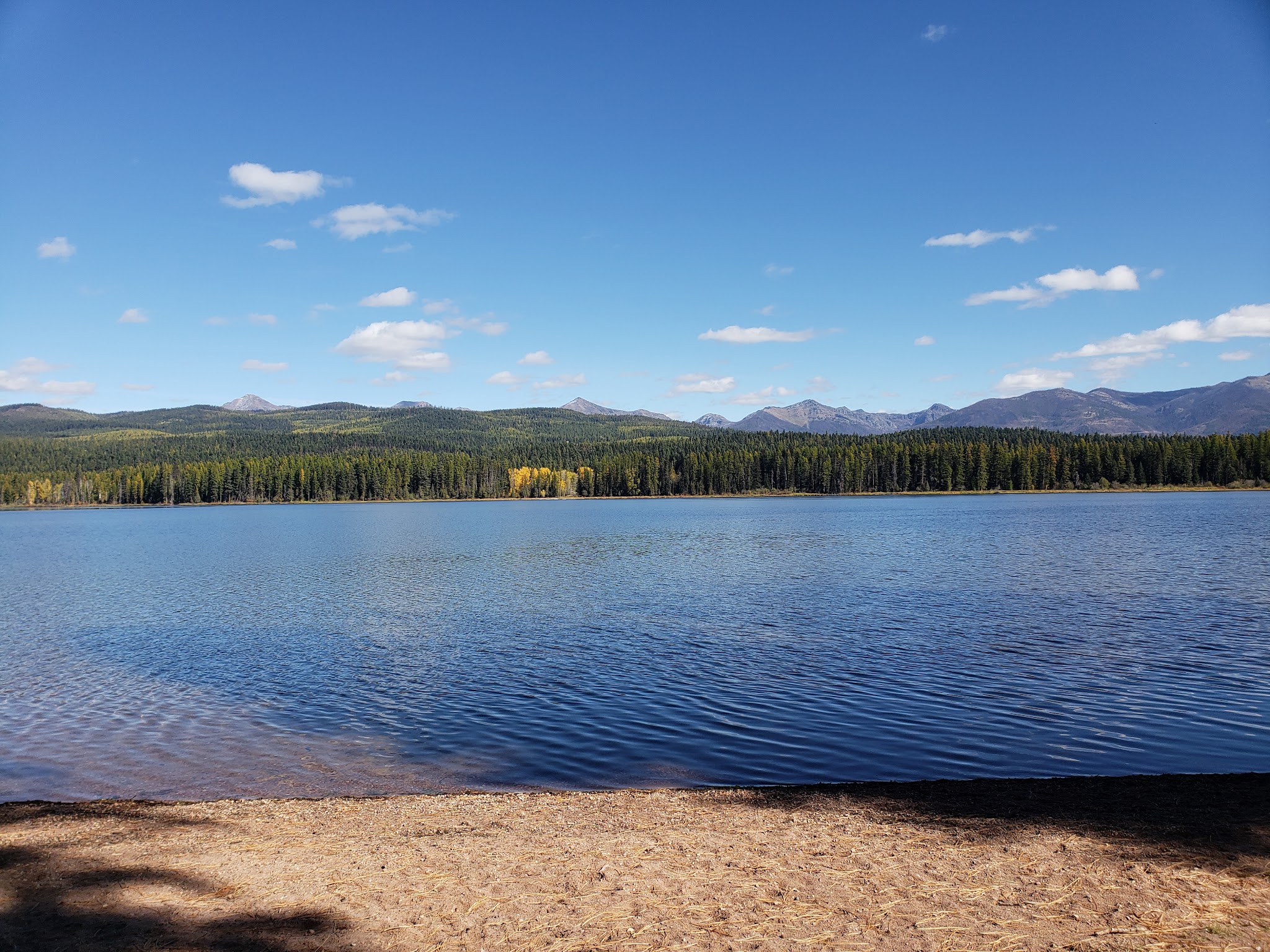 Seeley Lake Game Preserve - Seeley Lake, MT