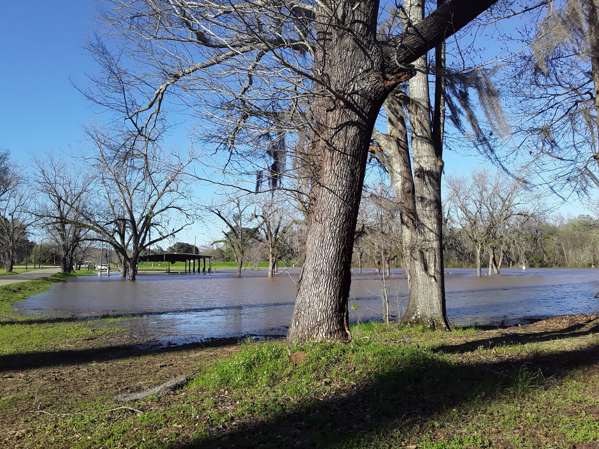 Bloch Park - Selma, AL