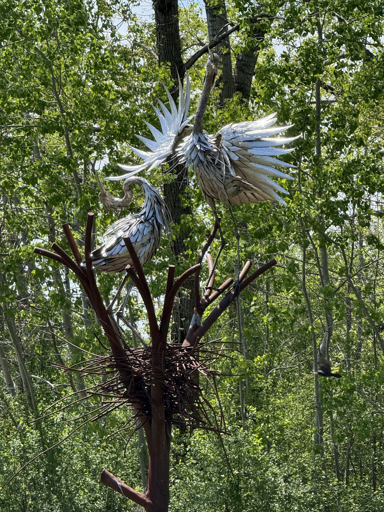 Montezuma National Wildlife Refuge - Seneca Falls, NY