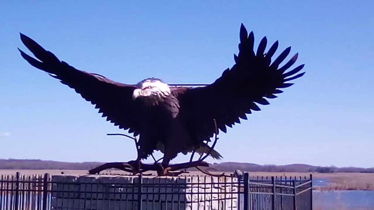 Montezuma National Wildlife Refuge - Seneca Falls, NY