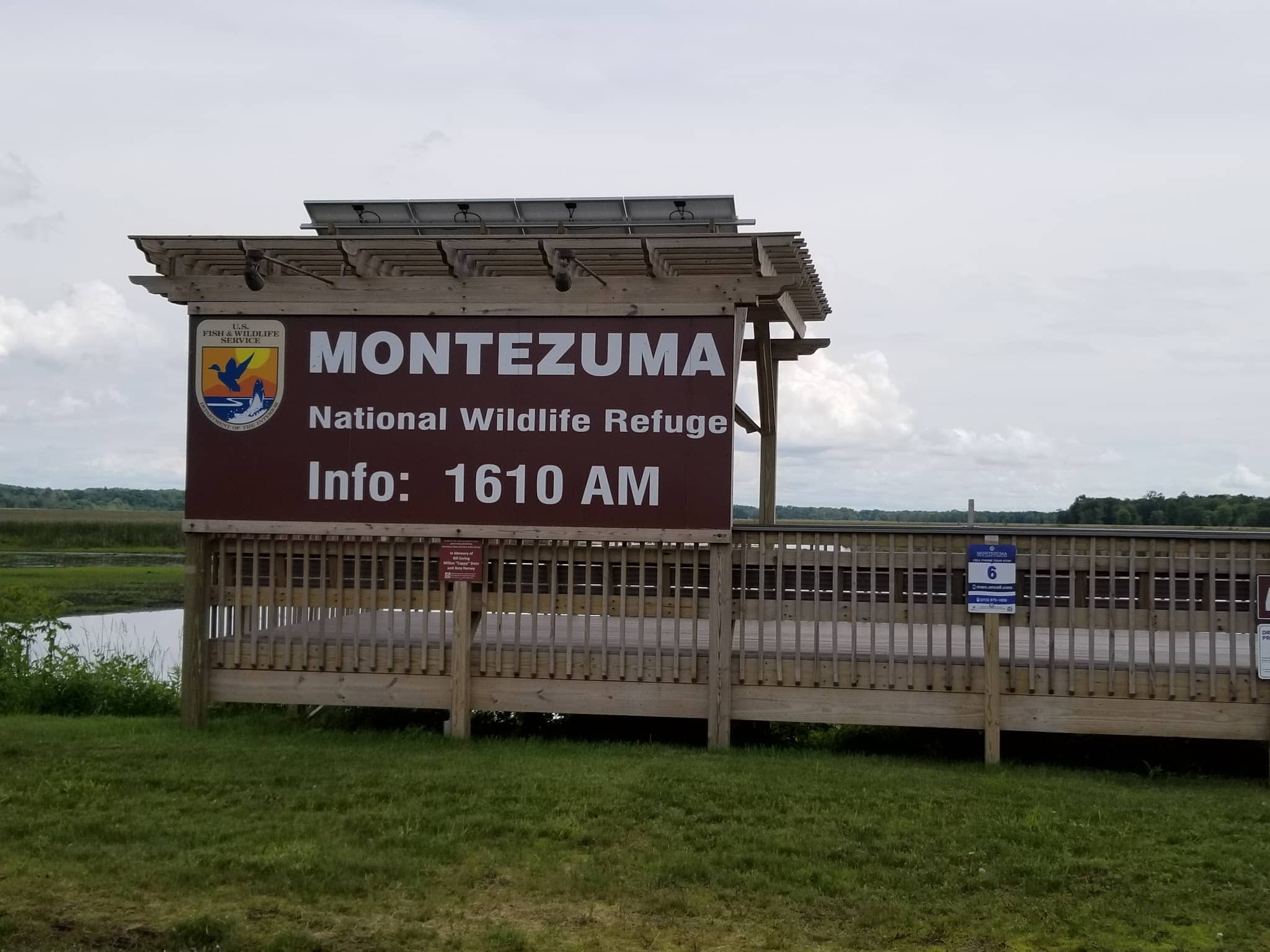 Montezuma National Wildlife Refuge - Seneca Falls, NY