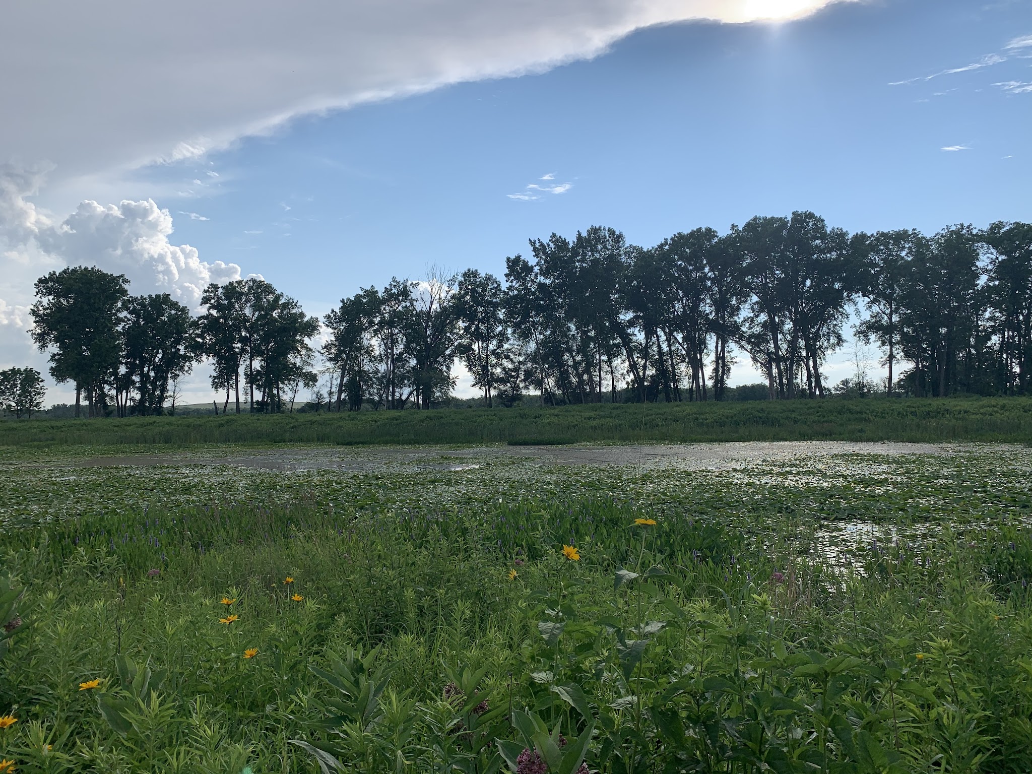 Seneca Meadows Wetlands Preserve - Seneca Falls, NY