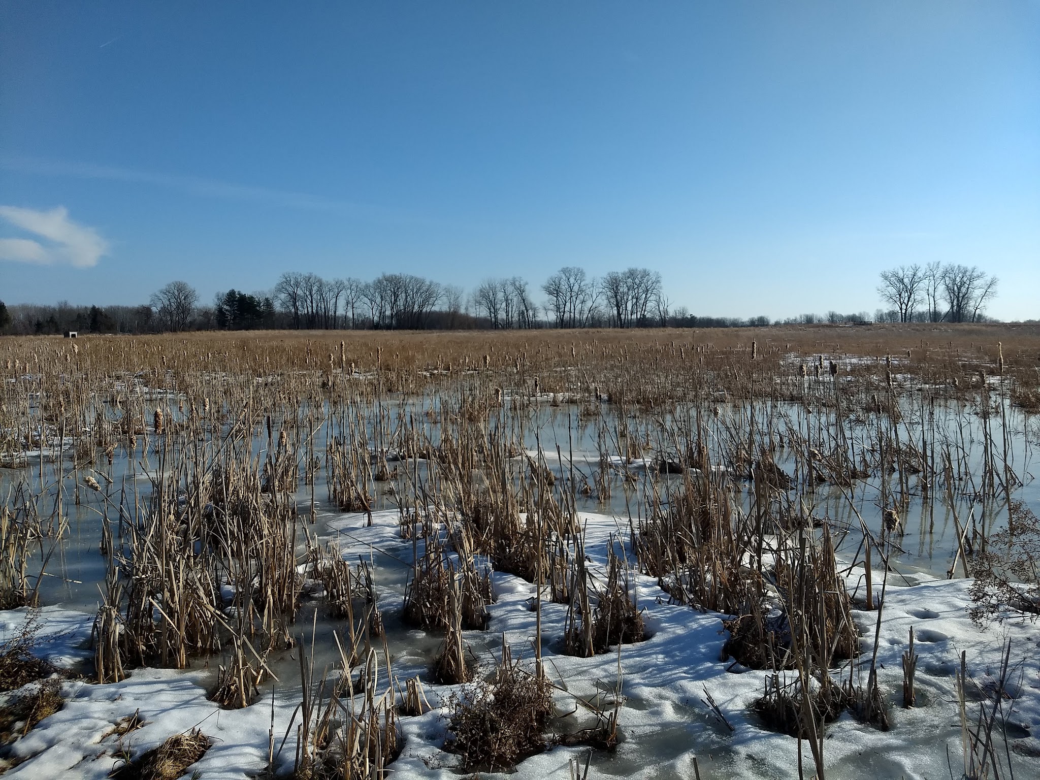 Seneca Meadows Wetlands Preserve - Seneca Falls, NY