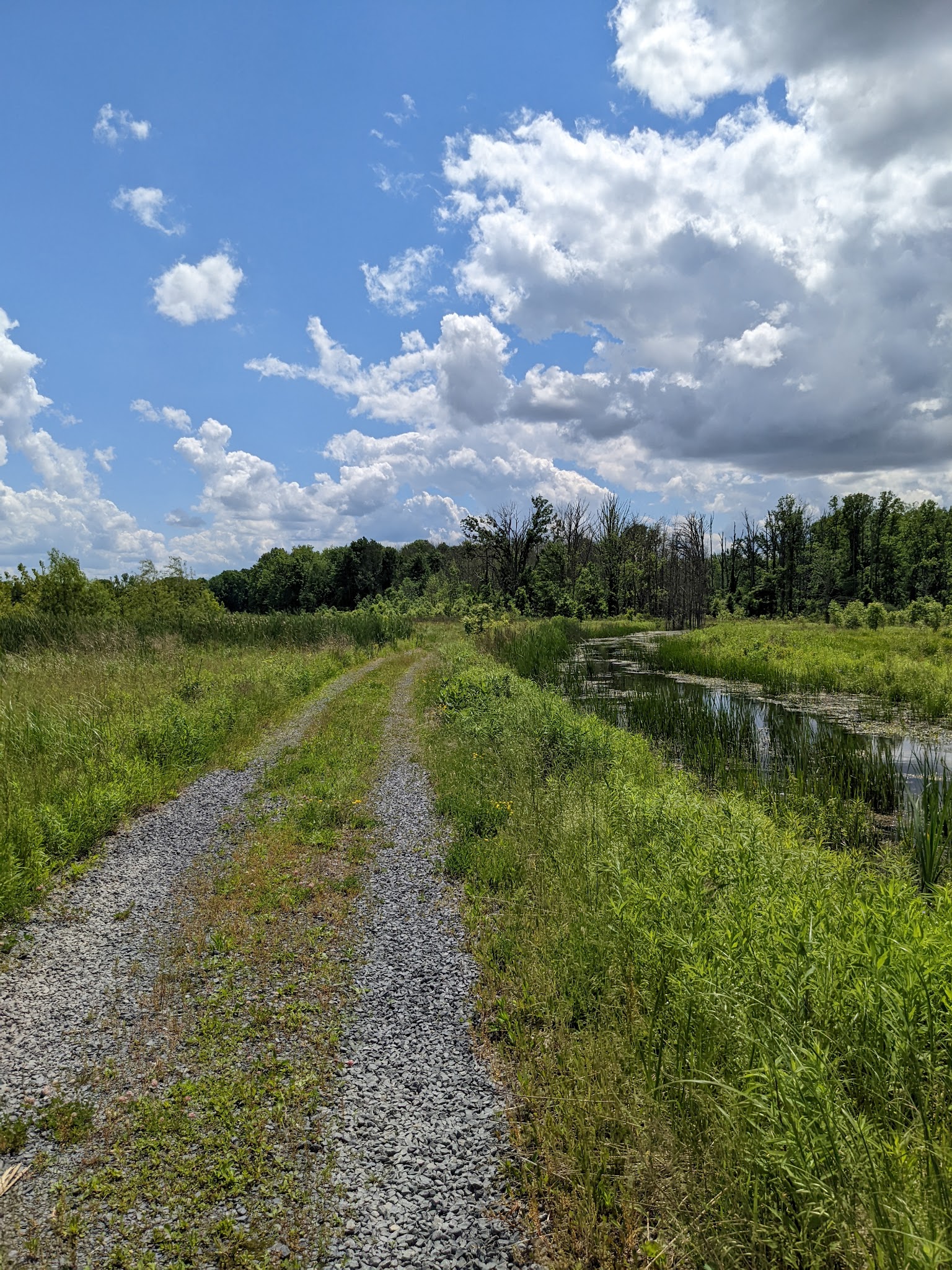 Seneca Meadows Wetlands Preserve - Seneca Falls, NY